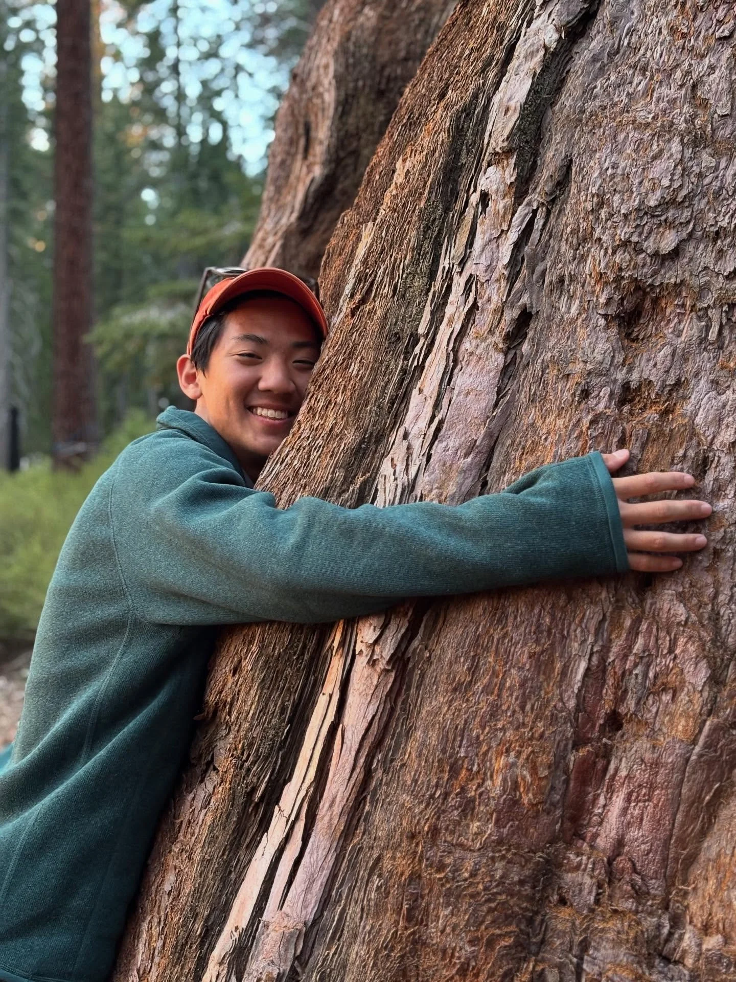 Next up, Jonathan who says &ldquo;this summer I&hellip;
&hellip; hugged a big tree (sequoia national park)
&hellip; went on a hike
&hellip; changed a tire (the car was sad it couldn&rsquo;t hike with us)
&hellip; and grew and killed lots of bacteria 