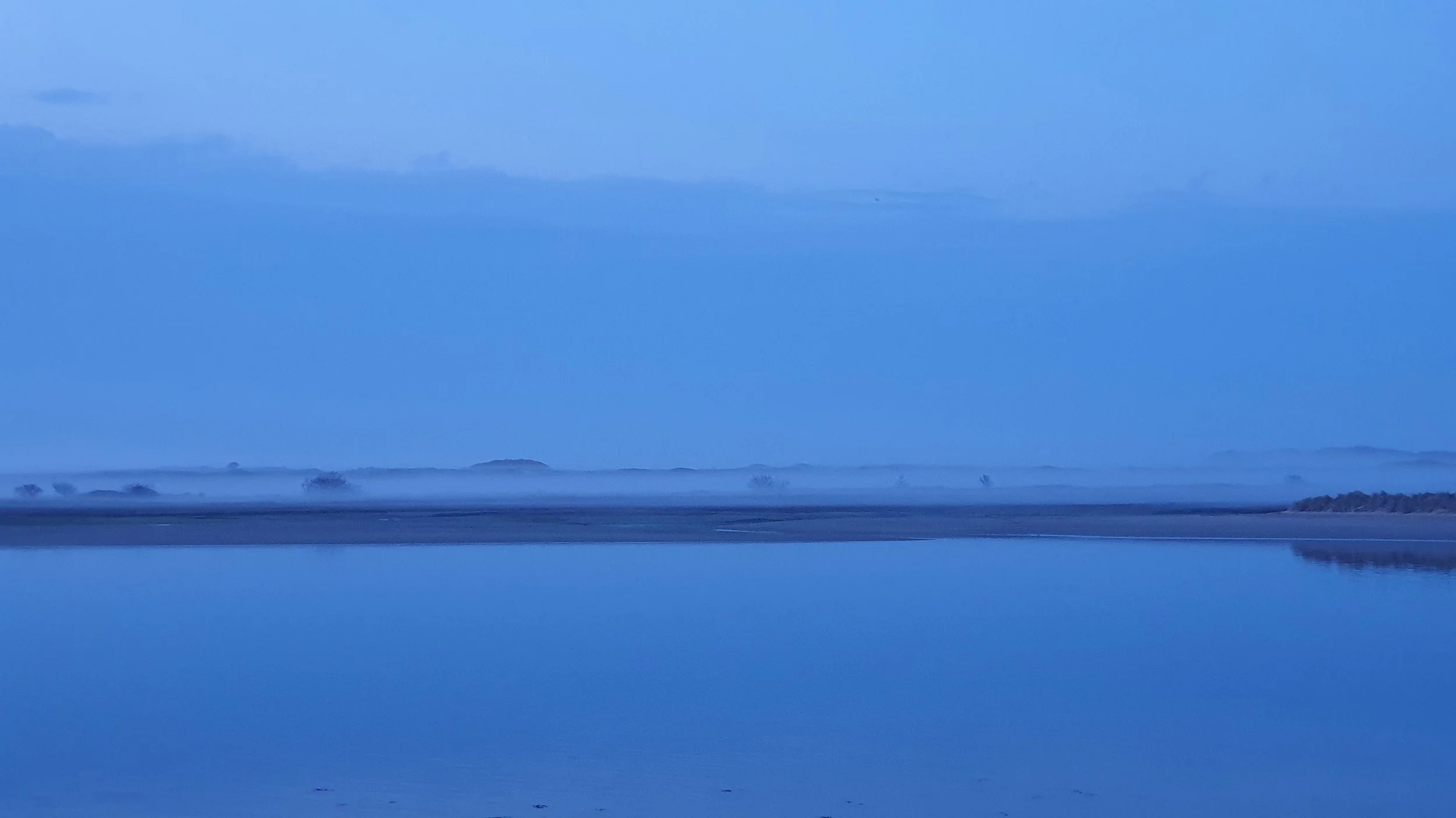 2022-03-29 20.03.05.jpg