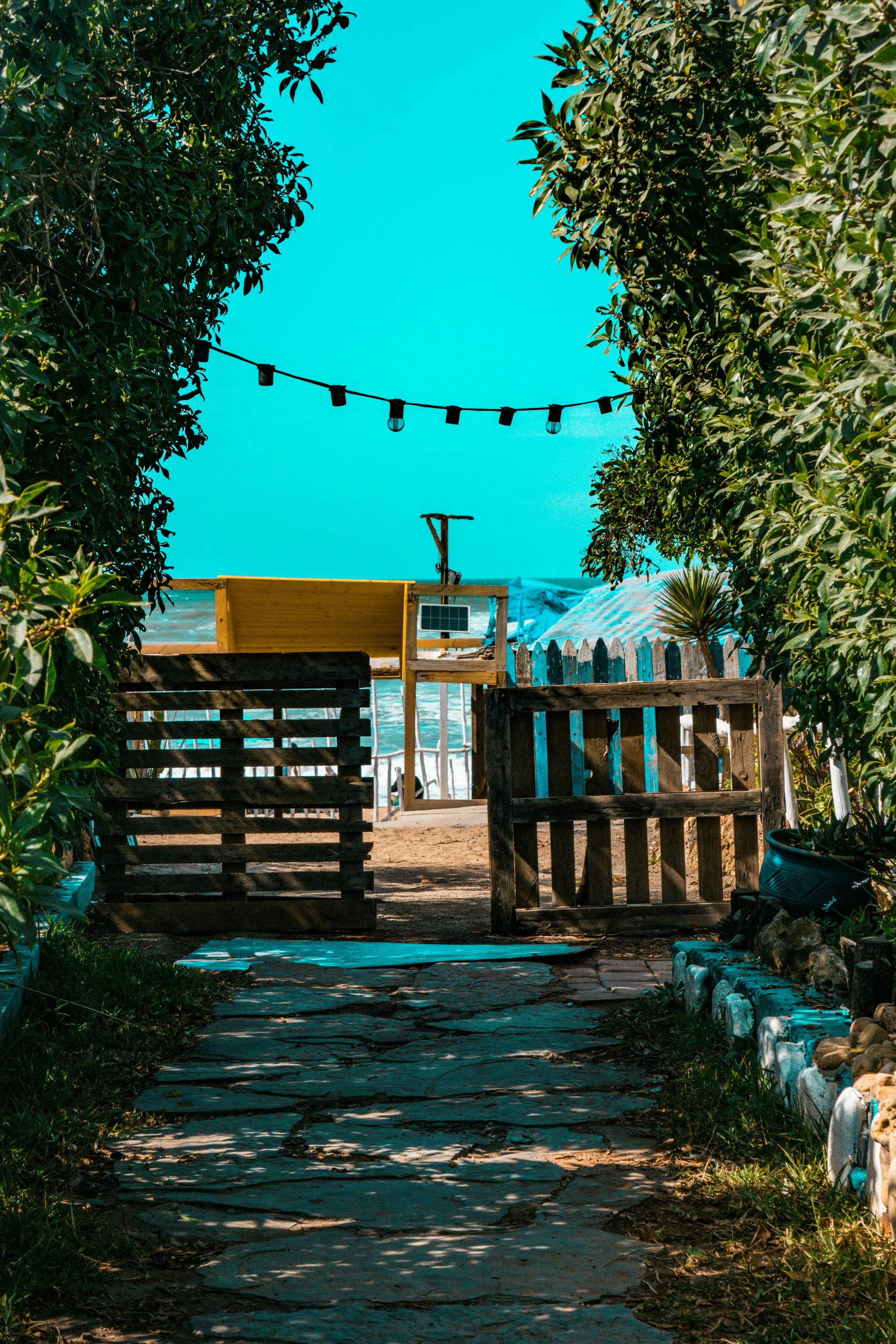 pexels-elouihianass-16709814.jpg