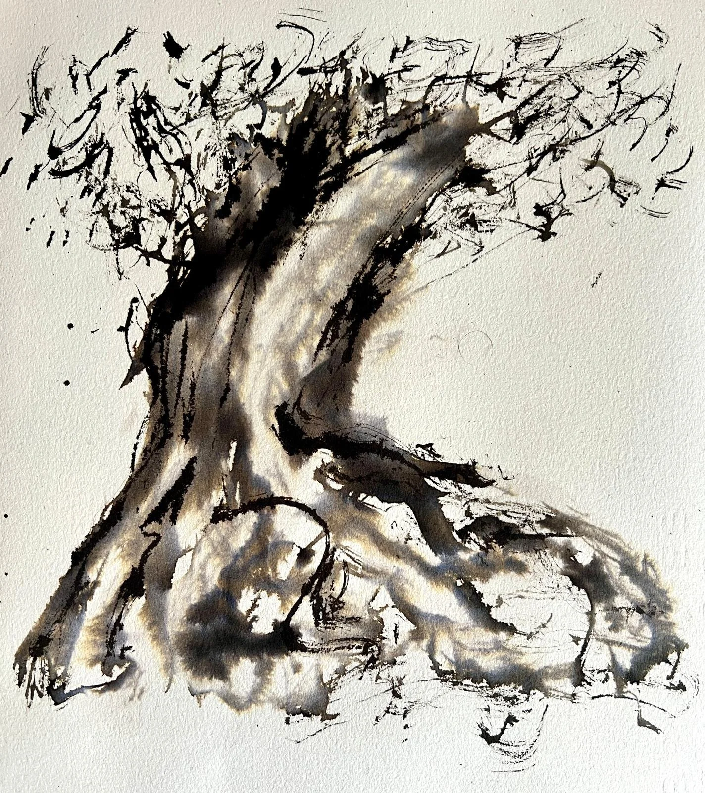 Pohutakawa, holding on  |  Ink  | 28x26cm | framed | £250