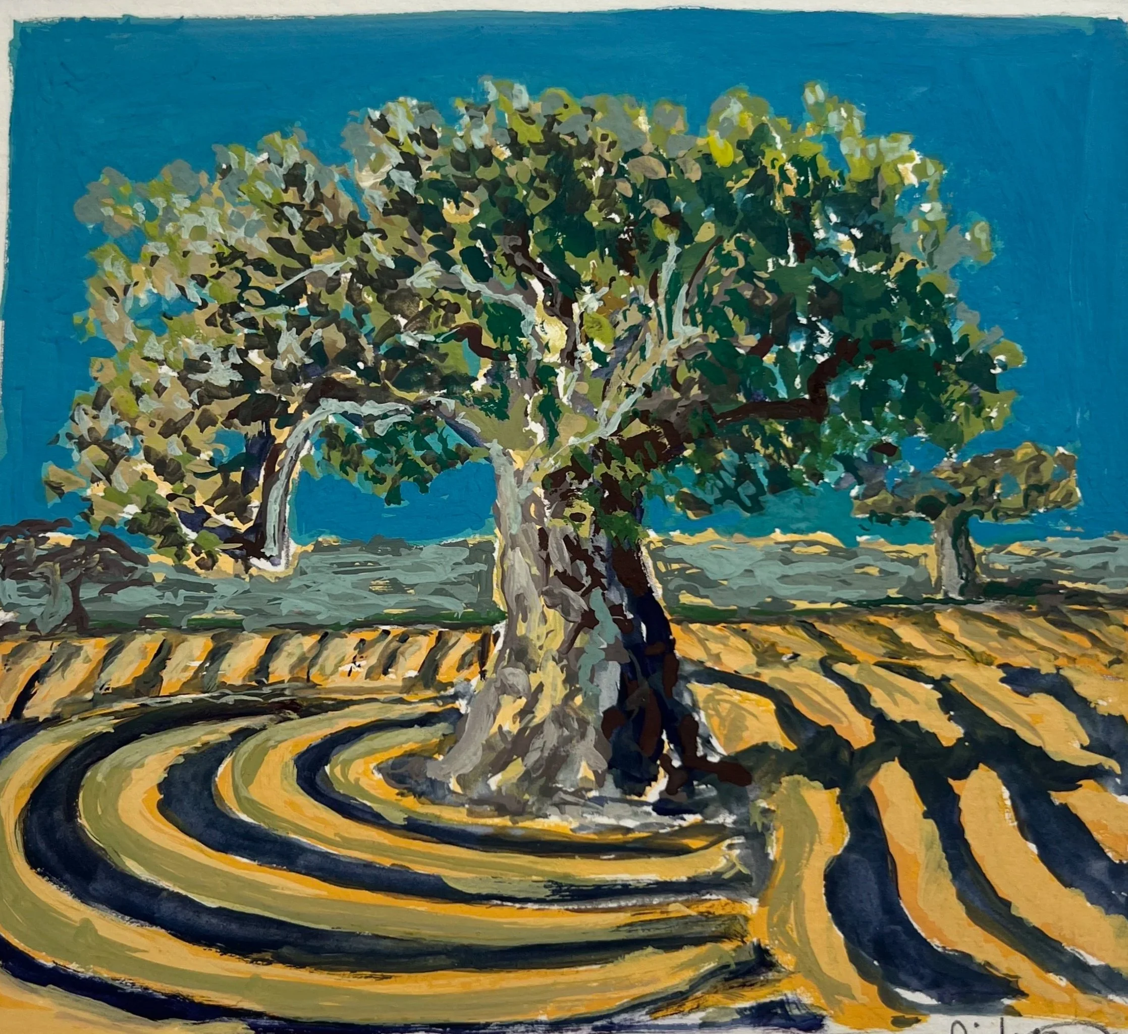Ancient Olive Grove, Djerba | Gouache | 27x27cm | framed | £190