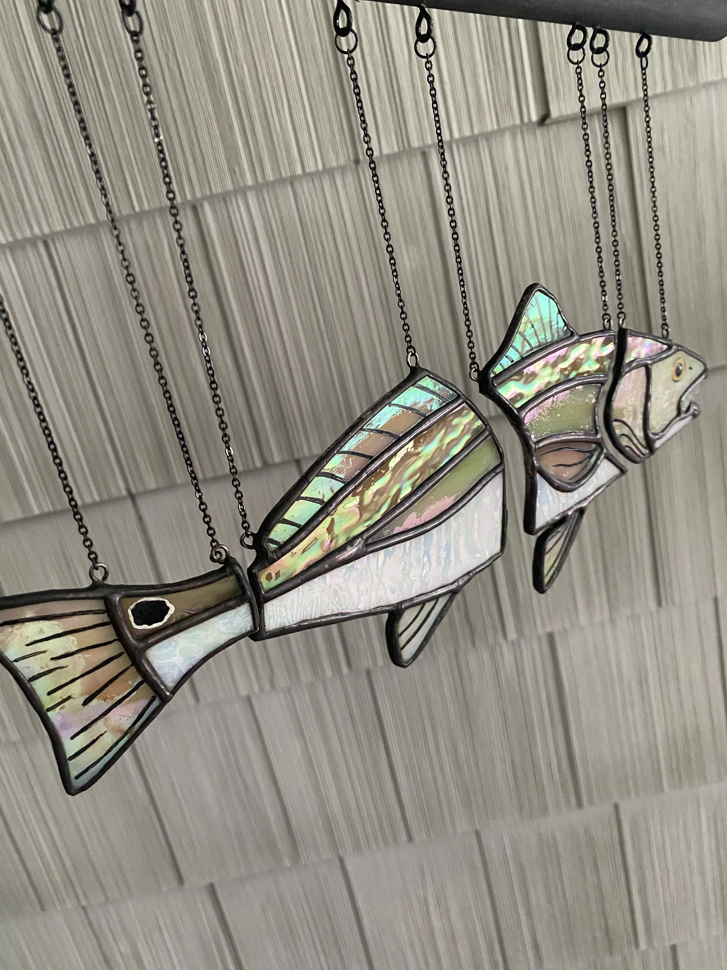 Red Drum / Swimming Illusion