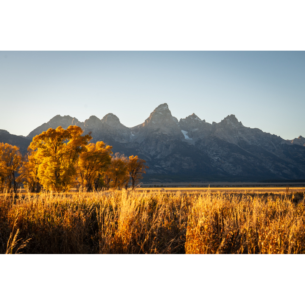 Golden Tetons Sunset