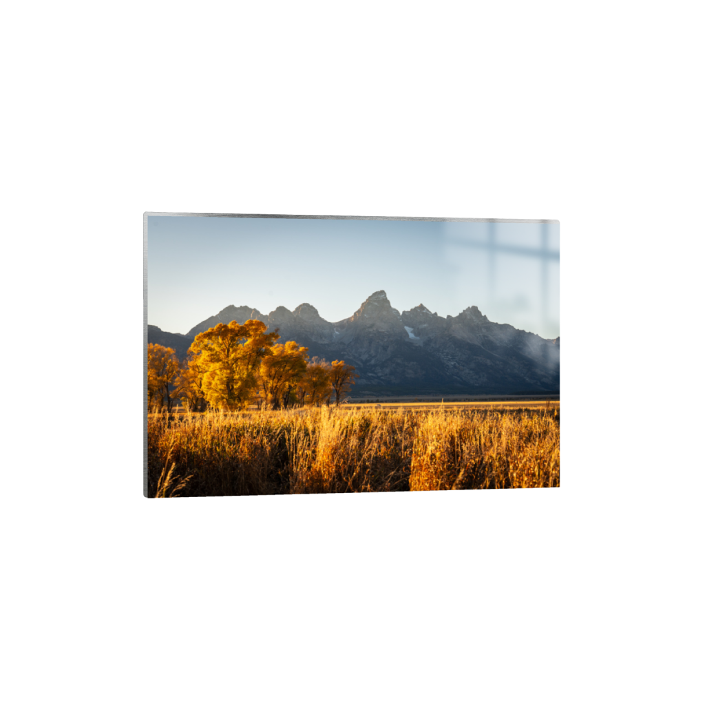 Golden Tetons Sunset
