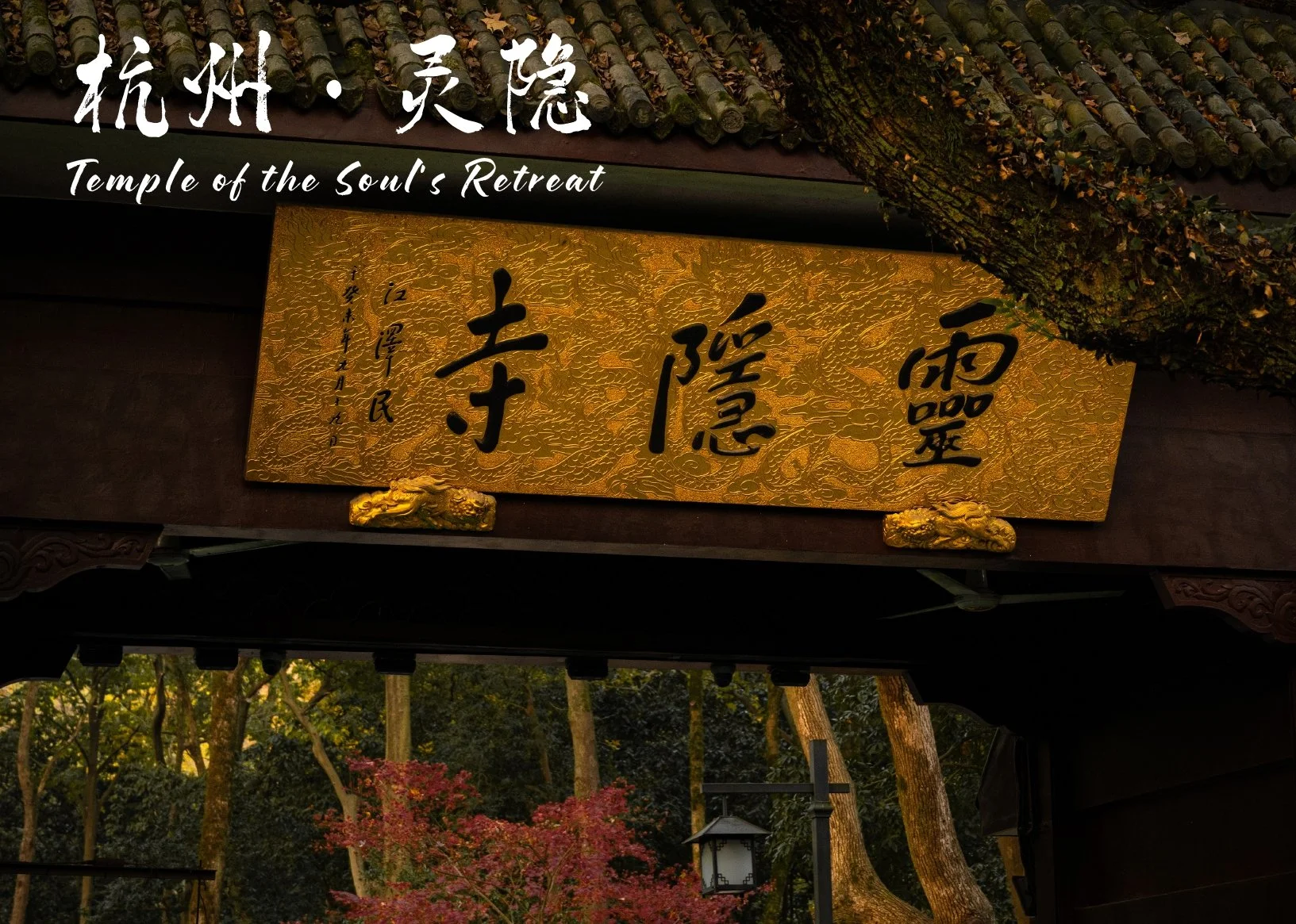 最终改_page-0011.jpg