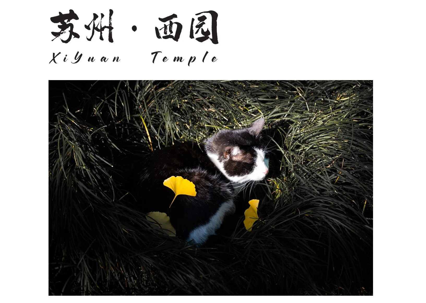 最终改_page-0037.jpg