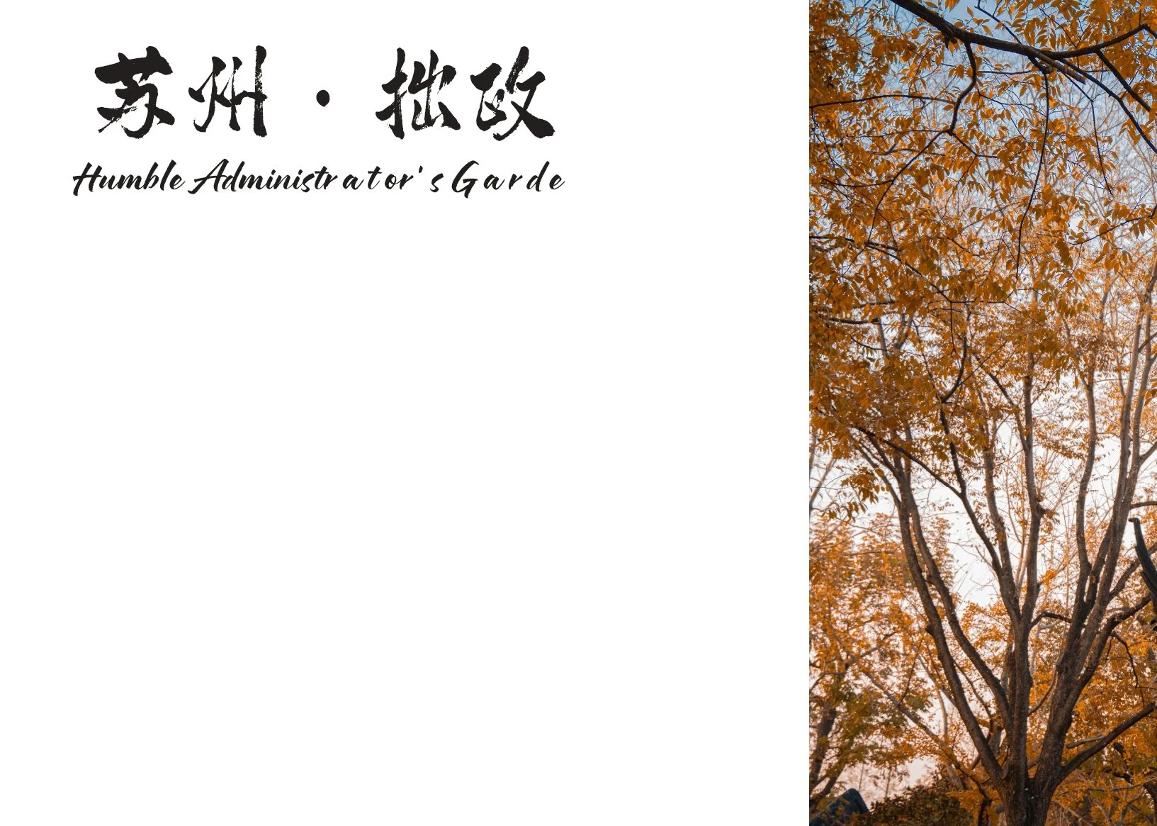 最终改_page-0031.jpg