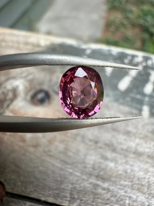 A pink oval-shaped gemstone held by a pair of metal tweezers on a wooden surface.