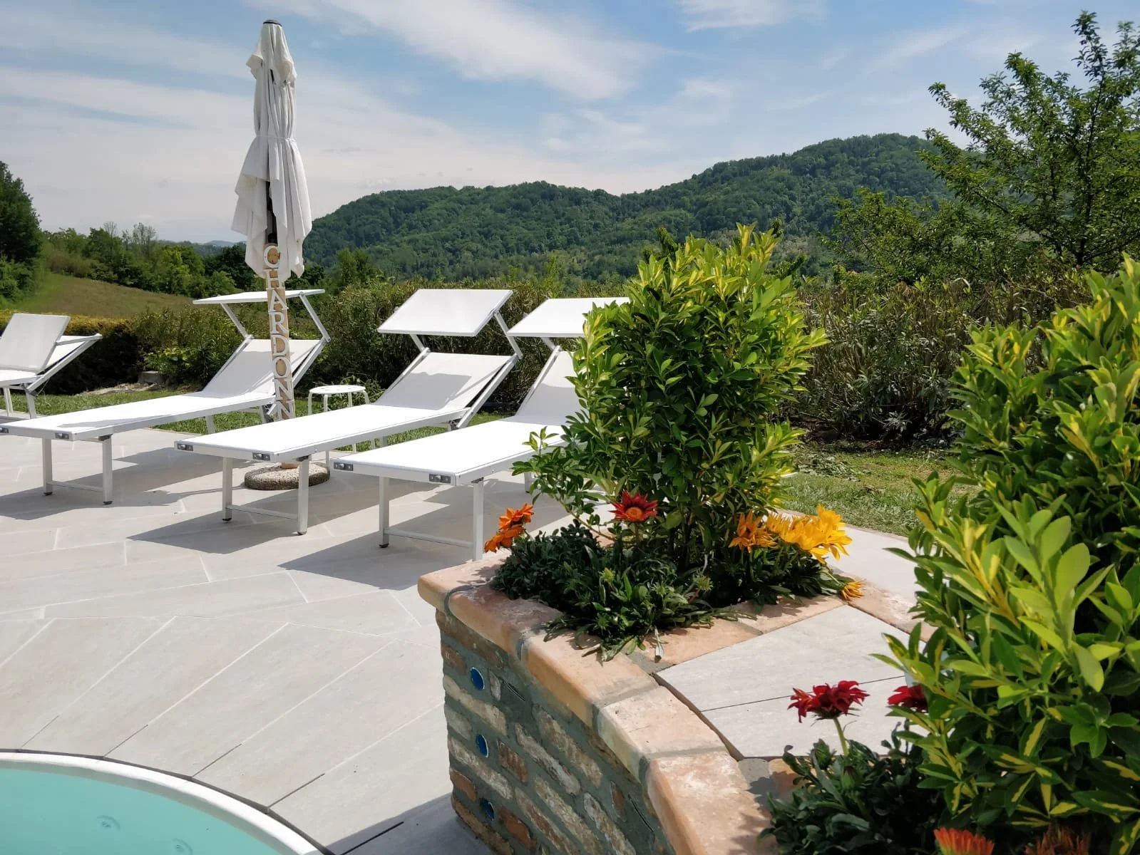 WhatsApp Image 2019-09-03 at 15.08.06.jpeg