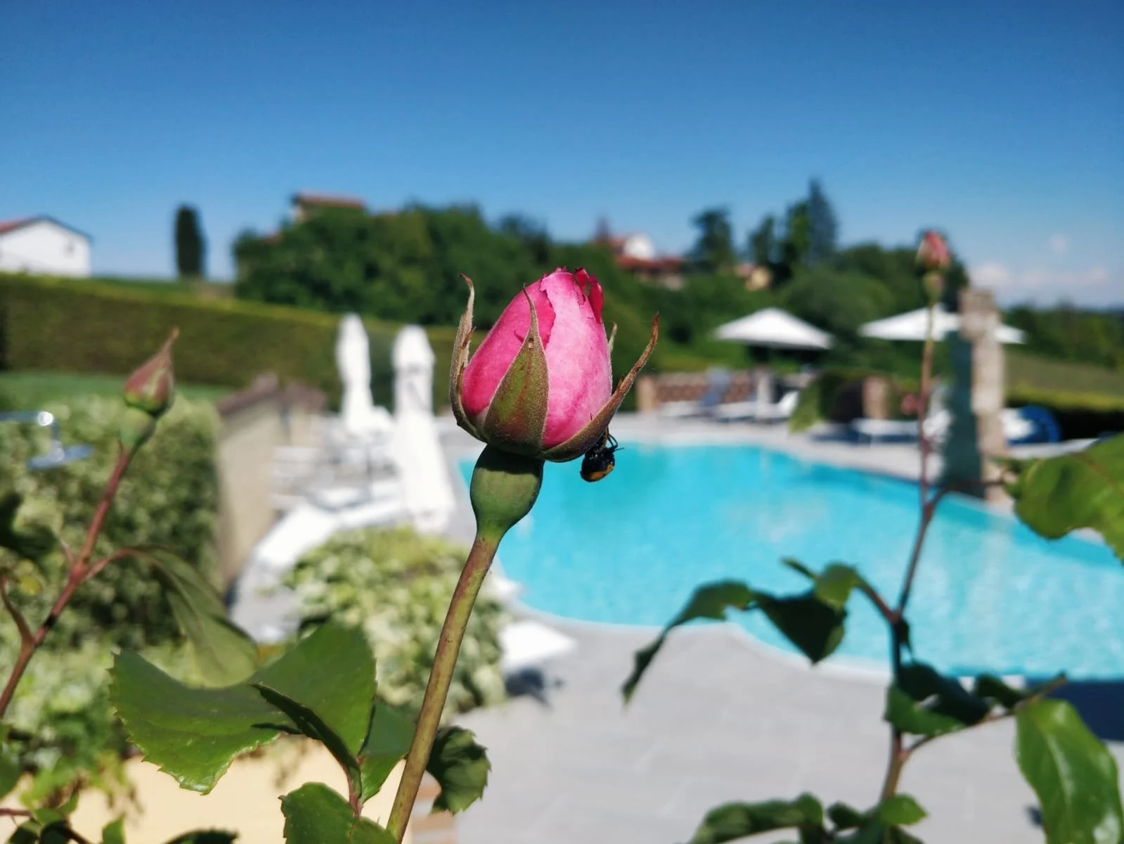 WhatsApp Image 2019-09-03 at 14.52.11(1).jpeg