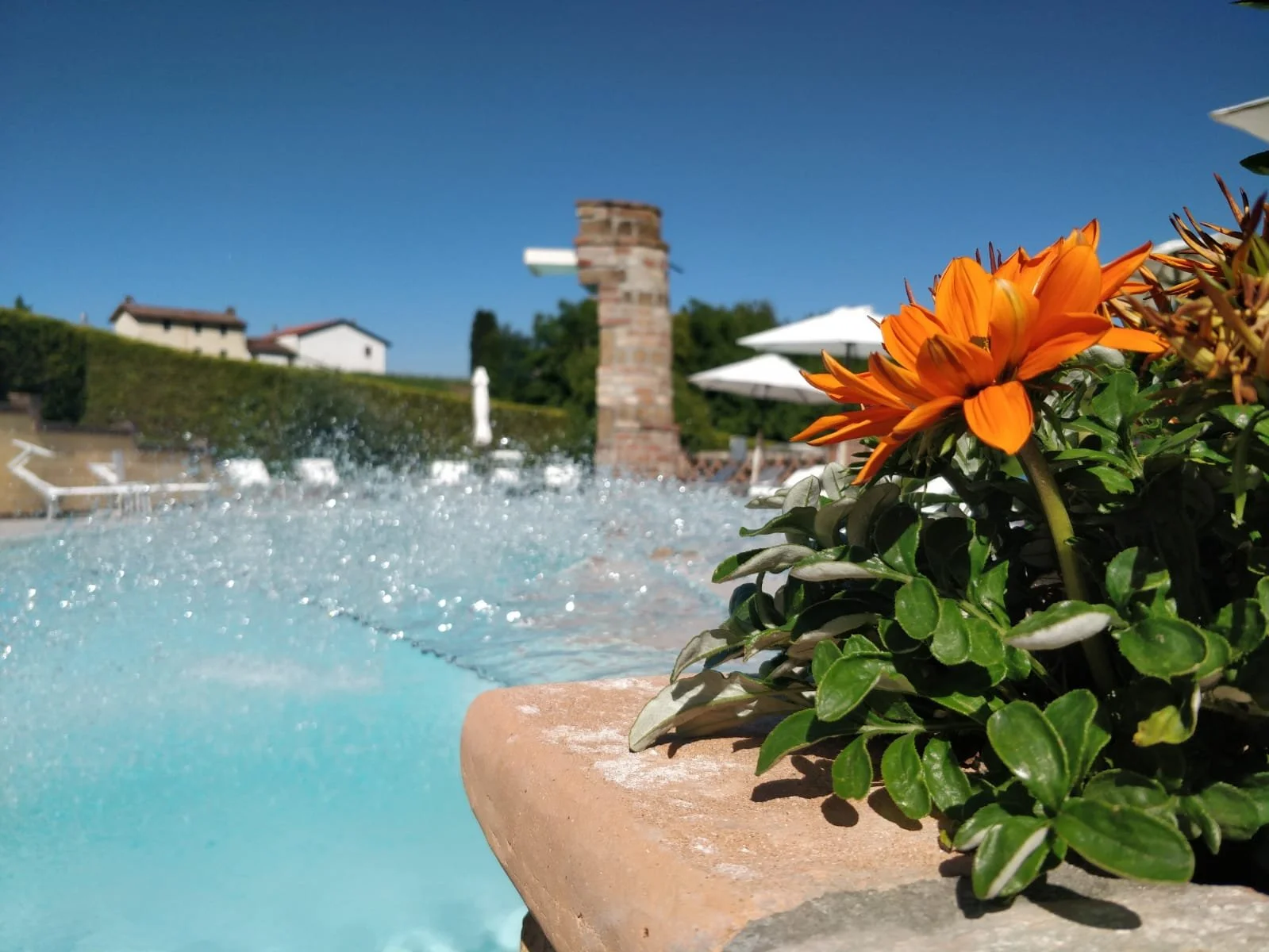 WhatsApp Image 2019-09-03 at 14.52.12.jpeg