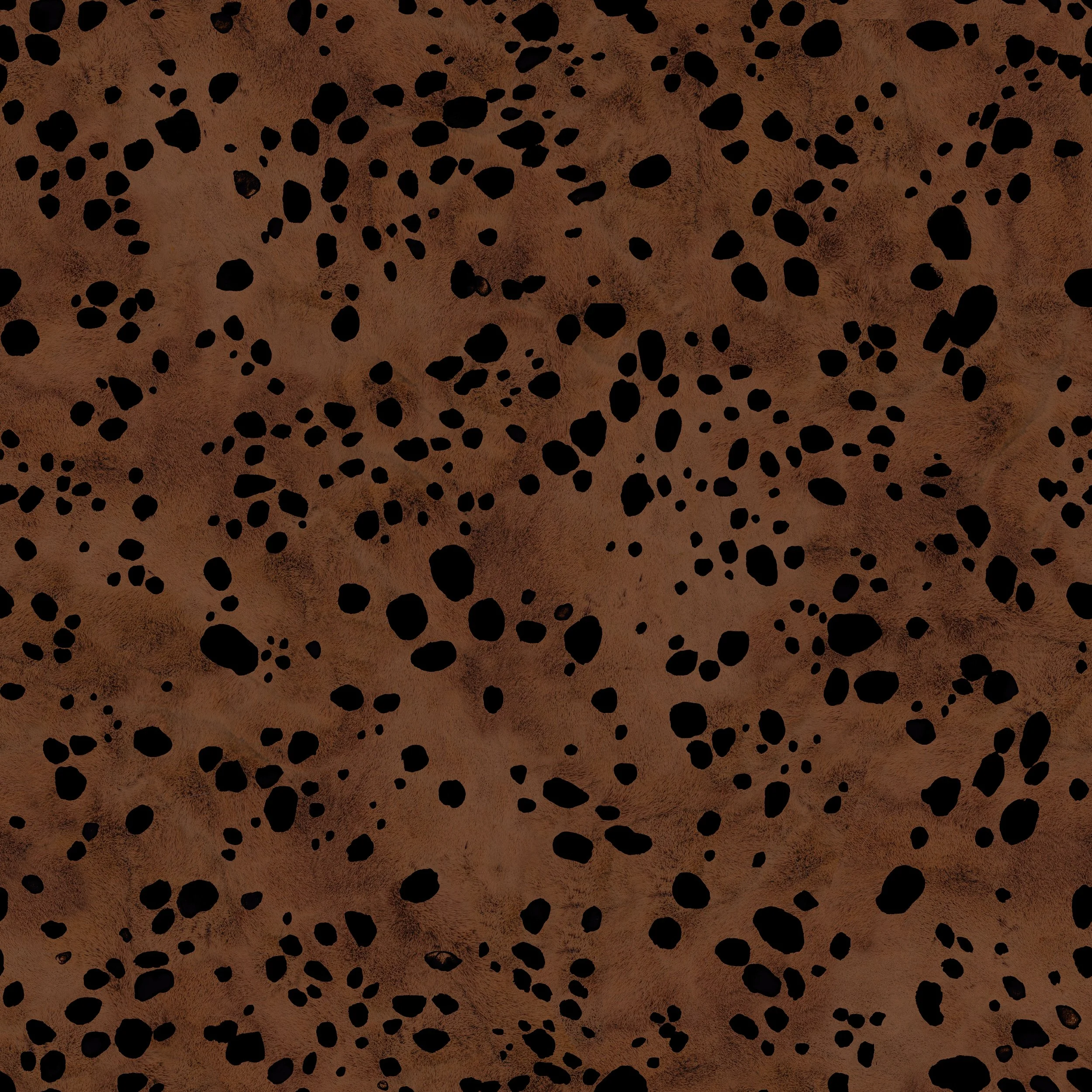 A close-up of a cheetah's fur with black spots on a tan background.