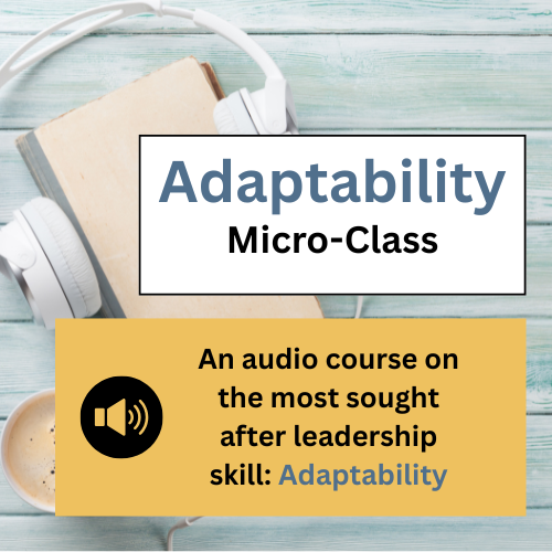 The Adaptability Challege Micro-Class