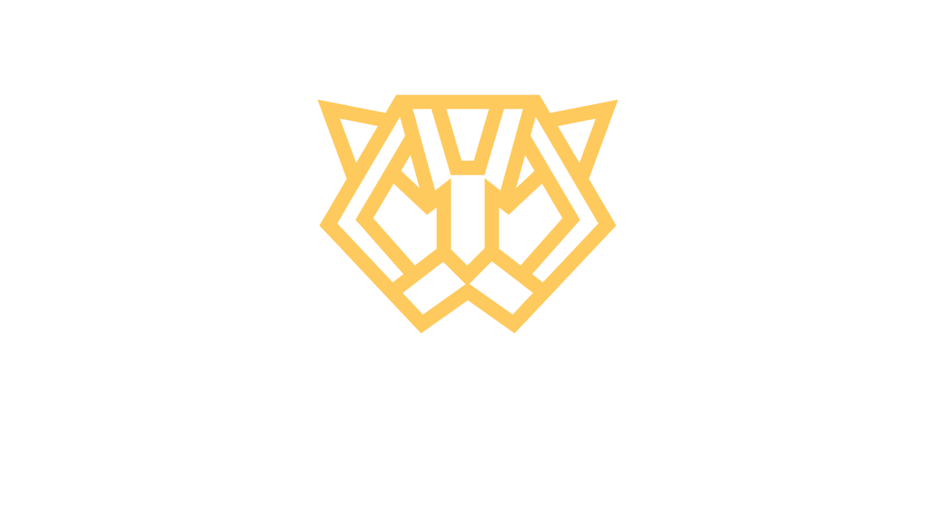 The Tigris Group