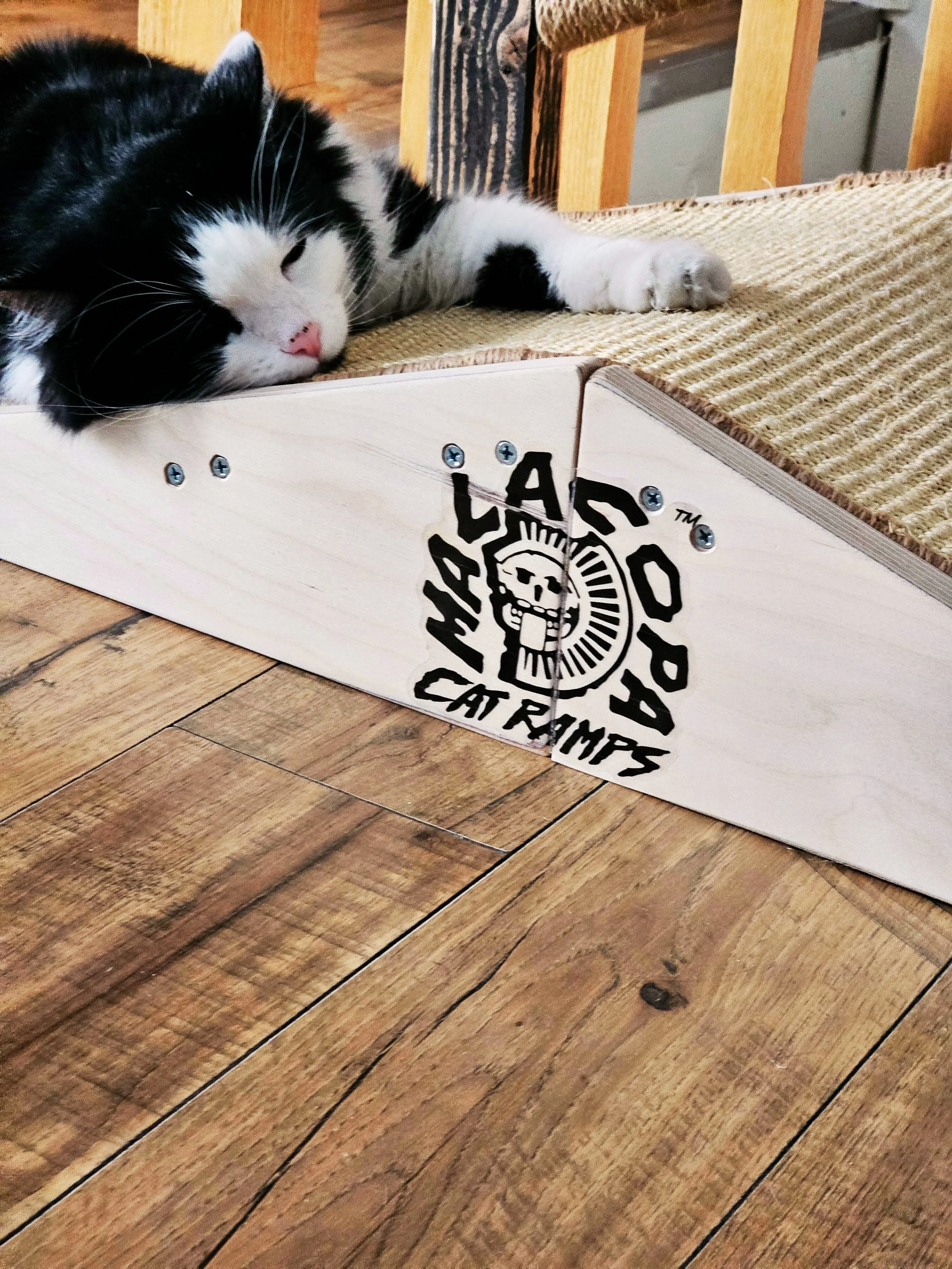 Cat Ramps V2.5.jpg
