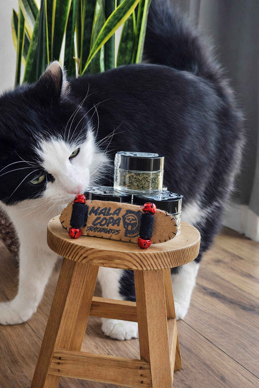 Mala Copa Skateboards Catnip Toy & Catnip