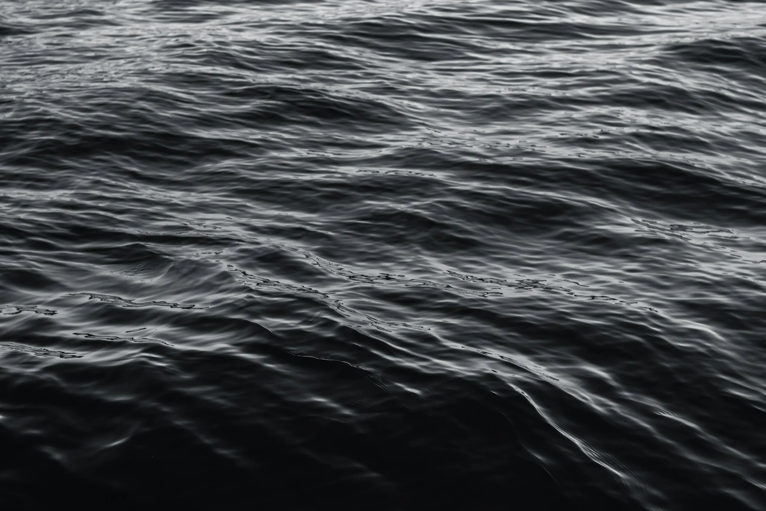 unsplash-image-jNMPpSpi7mU.jpg