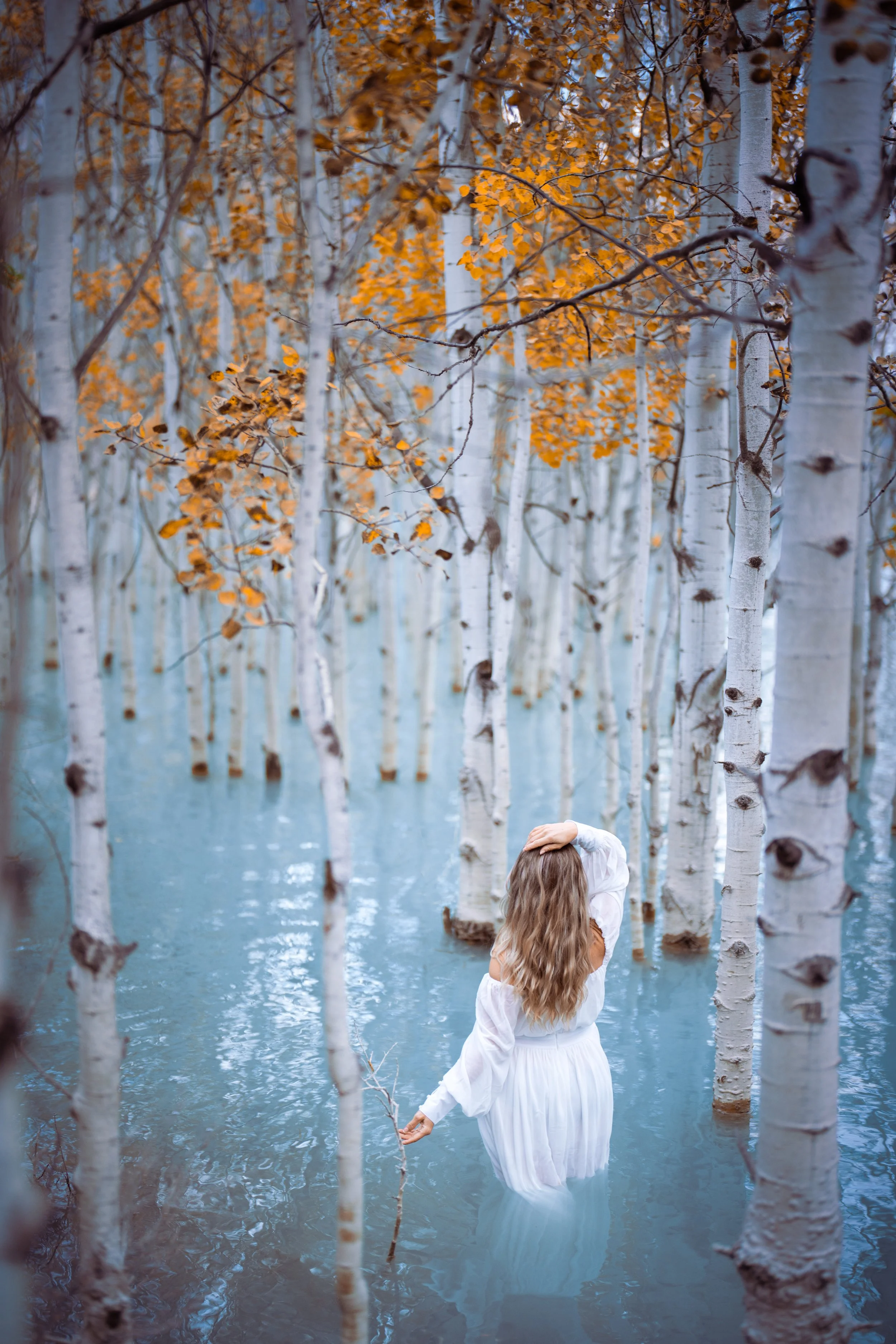 A woman in a white dress standing in water among white-barked trees with orange leaves in a flooded forest.