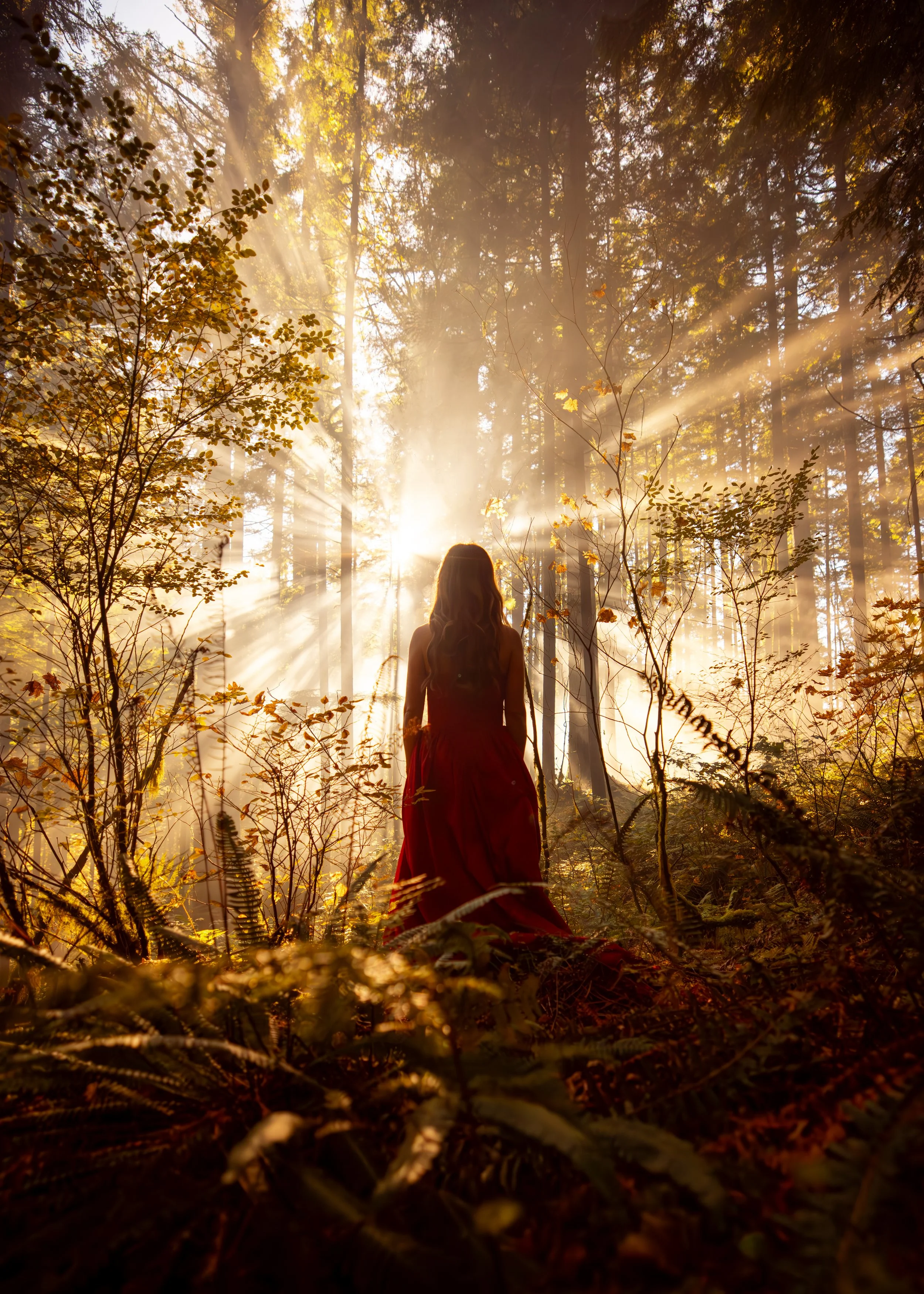 A woman in a red dress standing in a forest with sunlight streaming through the trees.