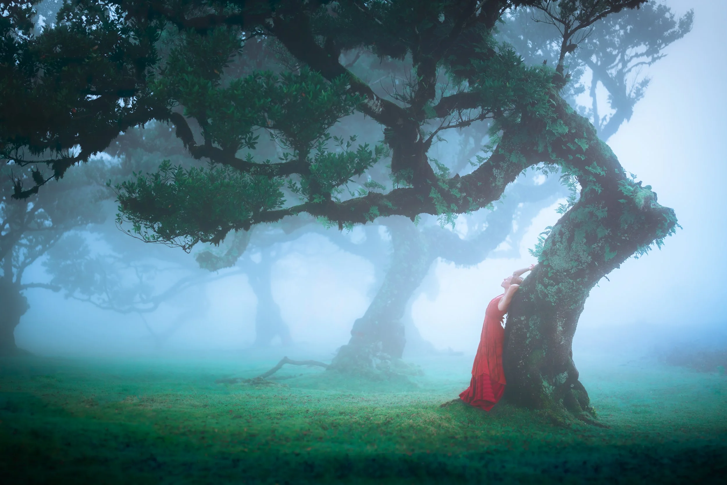 A woman in a red dress leaning back against a large moss-covered tree in a foggy forest.