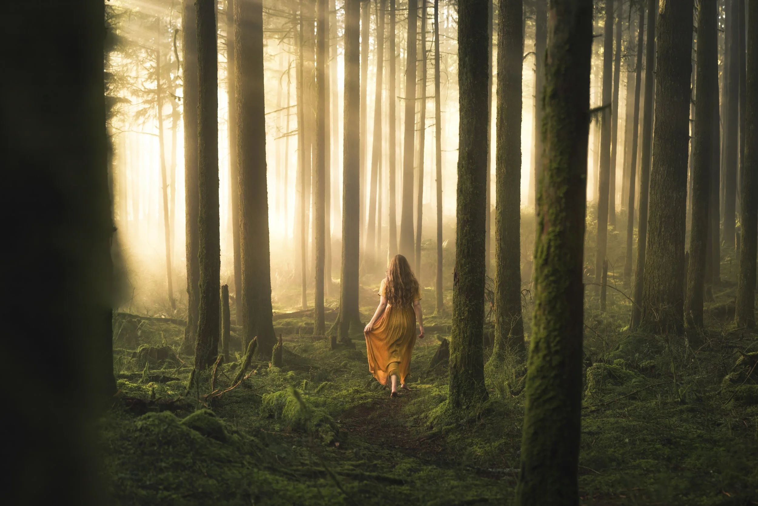 A woman with long hair wearing a yellow dress walking through a sunlit forest with tall trees and moss-covered ground.