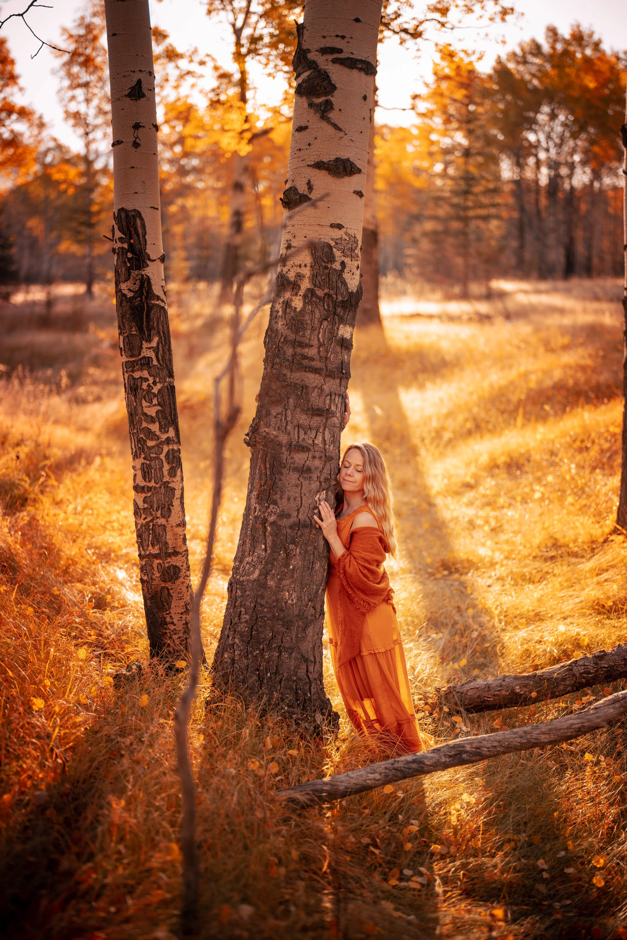 A woman hugging a tree in an autumn forest, with golden leaves and sunlight filtering through the trees.