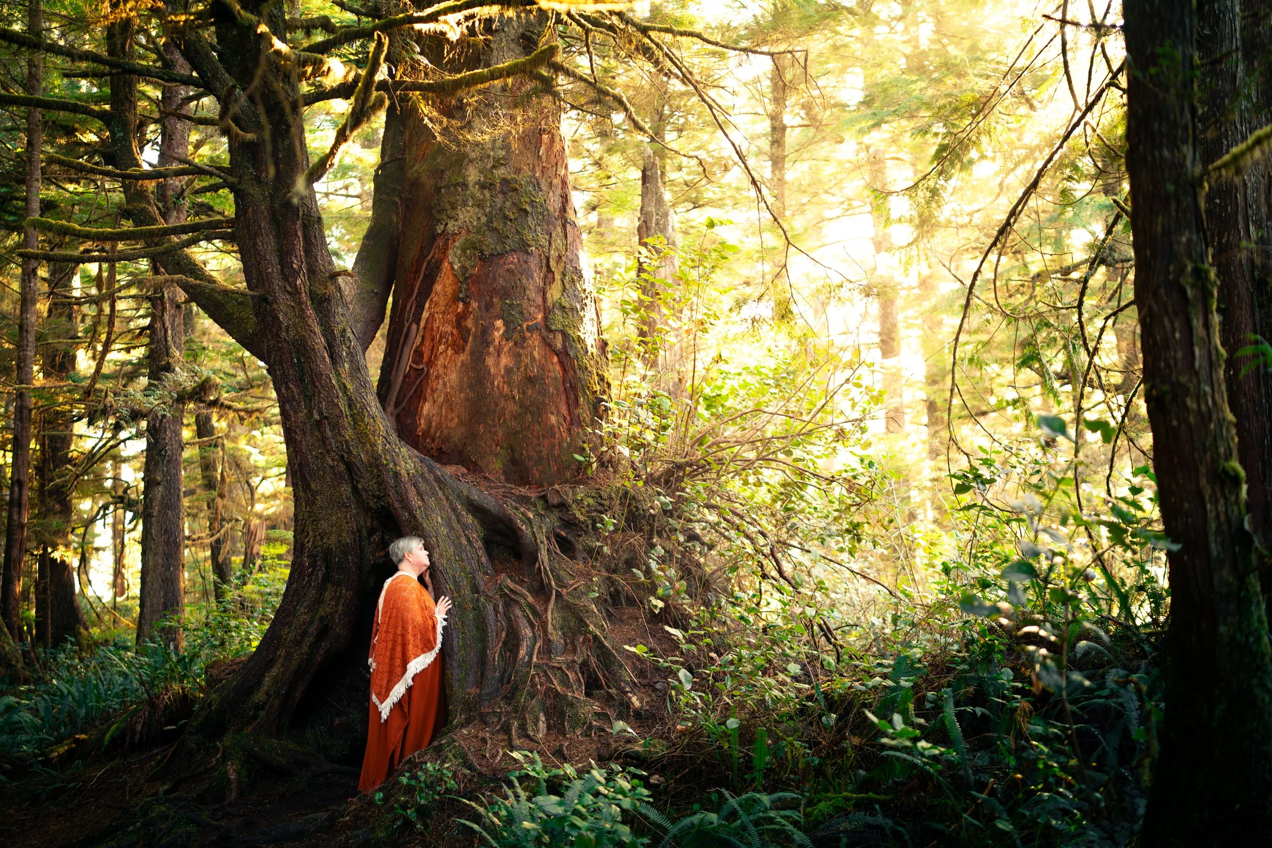 A woman wearing an orange shawl stands in a dense, sunlit forest next to a large, ancient tree with exposed roots, surrounded by green foliage and tall trees.