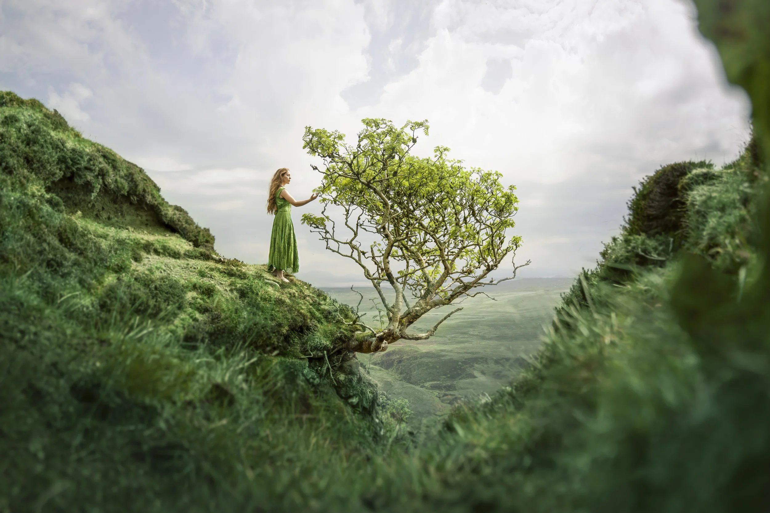A woman in a green dress standing on a grassy hill next to a unique, small, leafless tree with green leaves growing on its branches, overlooking a valley under a cloudy sky.