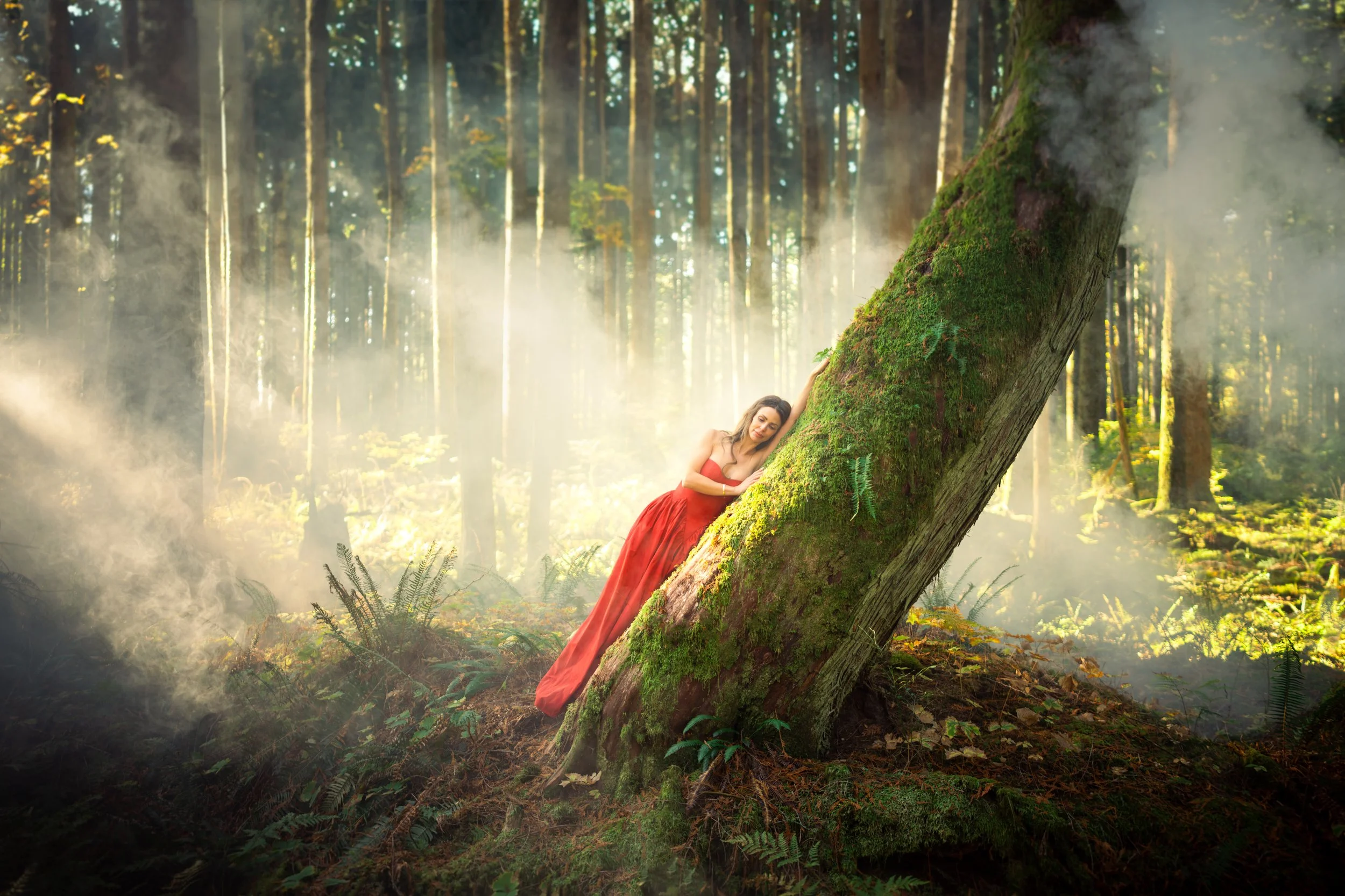 A woman in a red dress leaning against a moss-covered tree in a foggy forest with sunlight filtering through the trees.