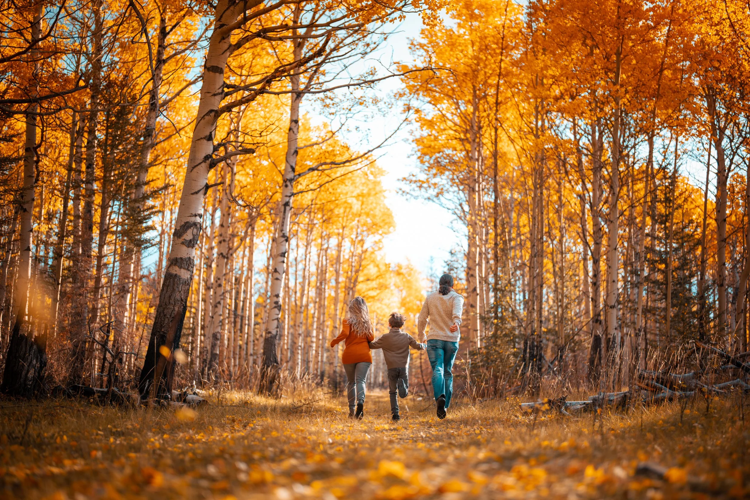 Three people, a woman, a girl, and a boy, walk together through a forest with autumn-colored trees, holding hands, during daytime.