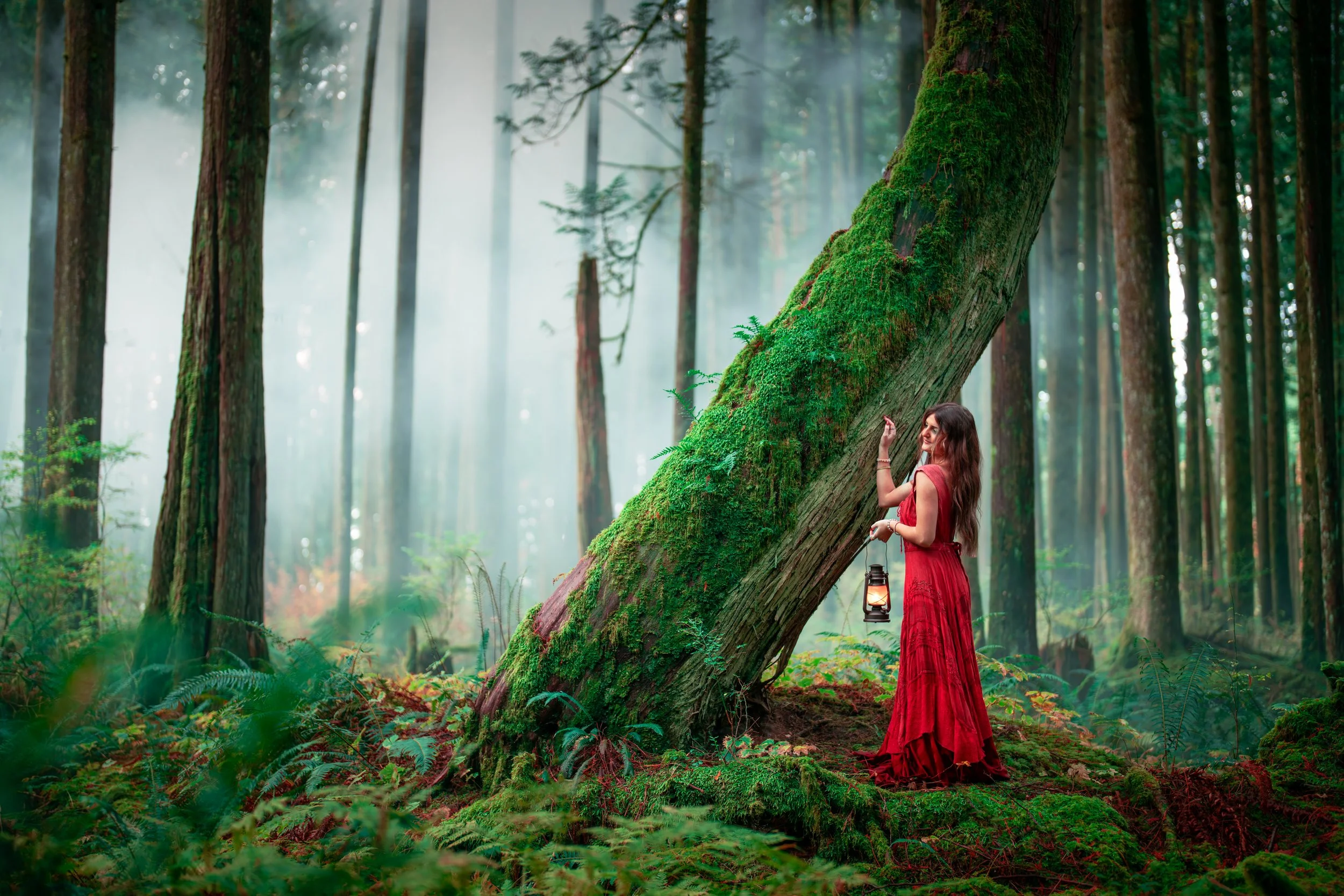 A woman in a red dress holding a lantern next to a moss-covered tree leaning on the ground in a foggy forest.
