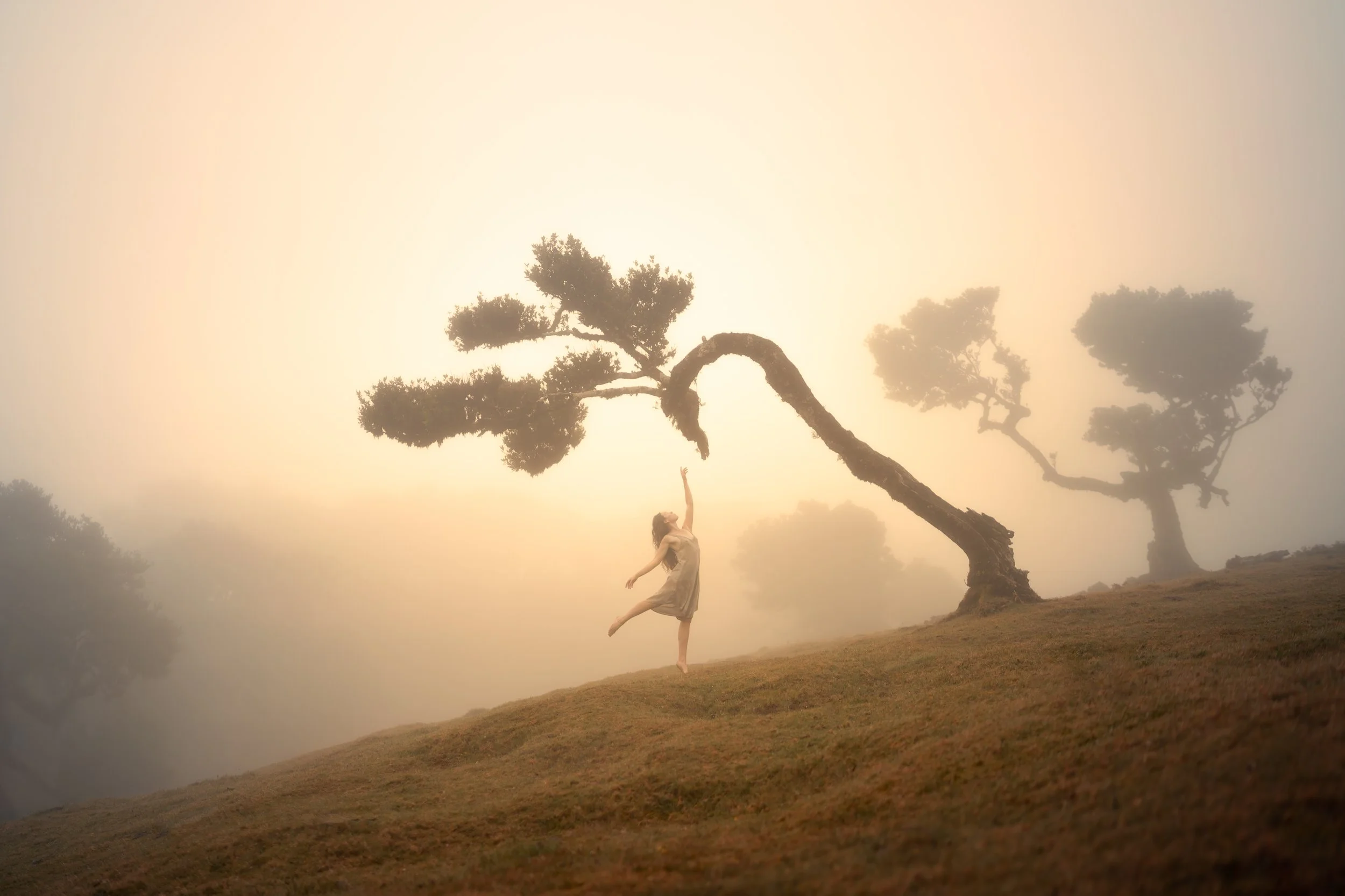 A woman in a light dress poses gracefully on a grassy hill near a bent, windswept tree during sunrise or sunset, surrounded by a misty landscape with additional trees in the background.