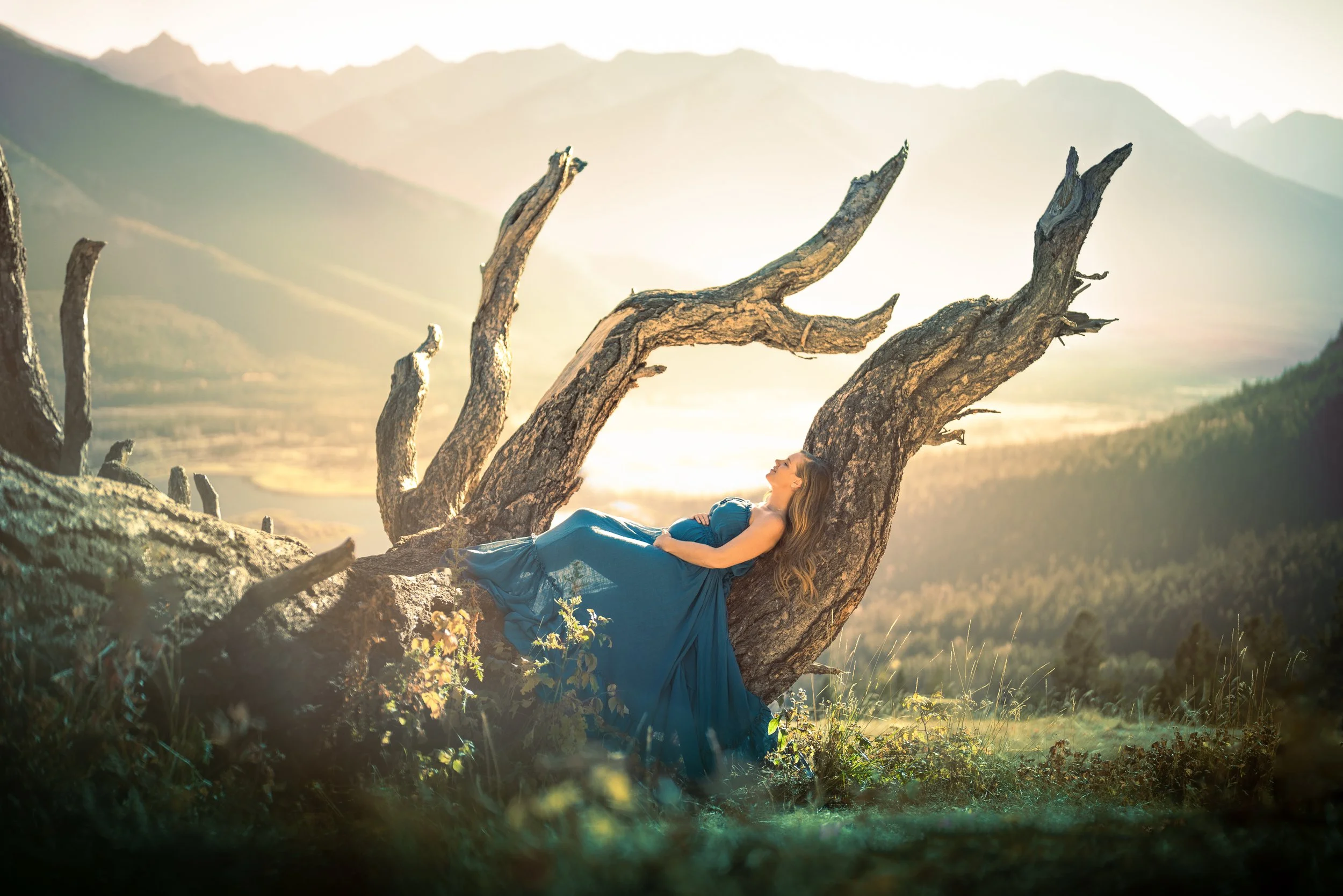 A woman in a blue dress reclining against a large, gnarled tree in a mountain landscape at sunset.