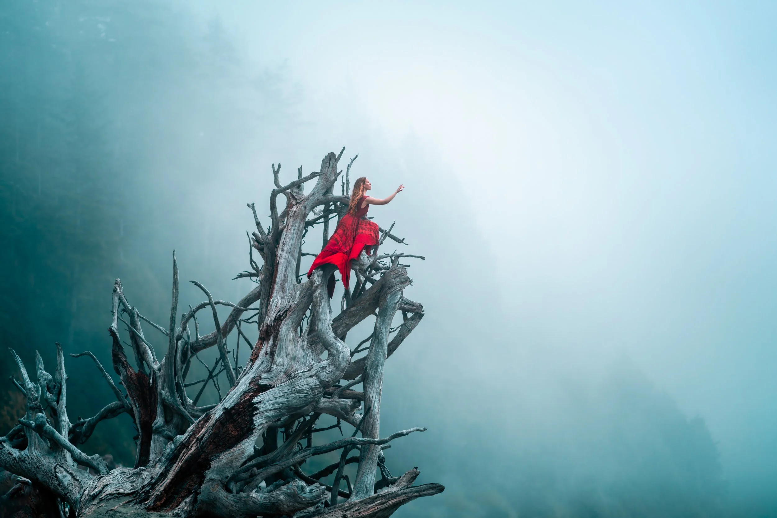A woman in a red dress sitting on a twisted, leafless tree extending out over a misty landscape.