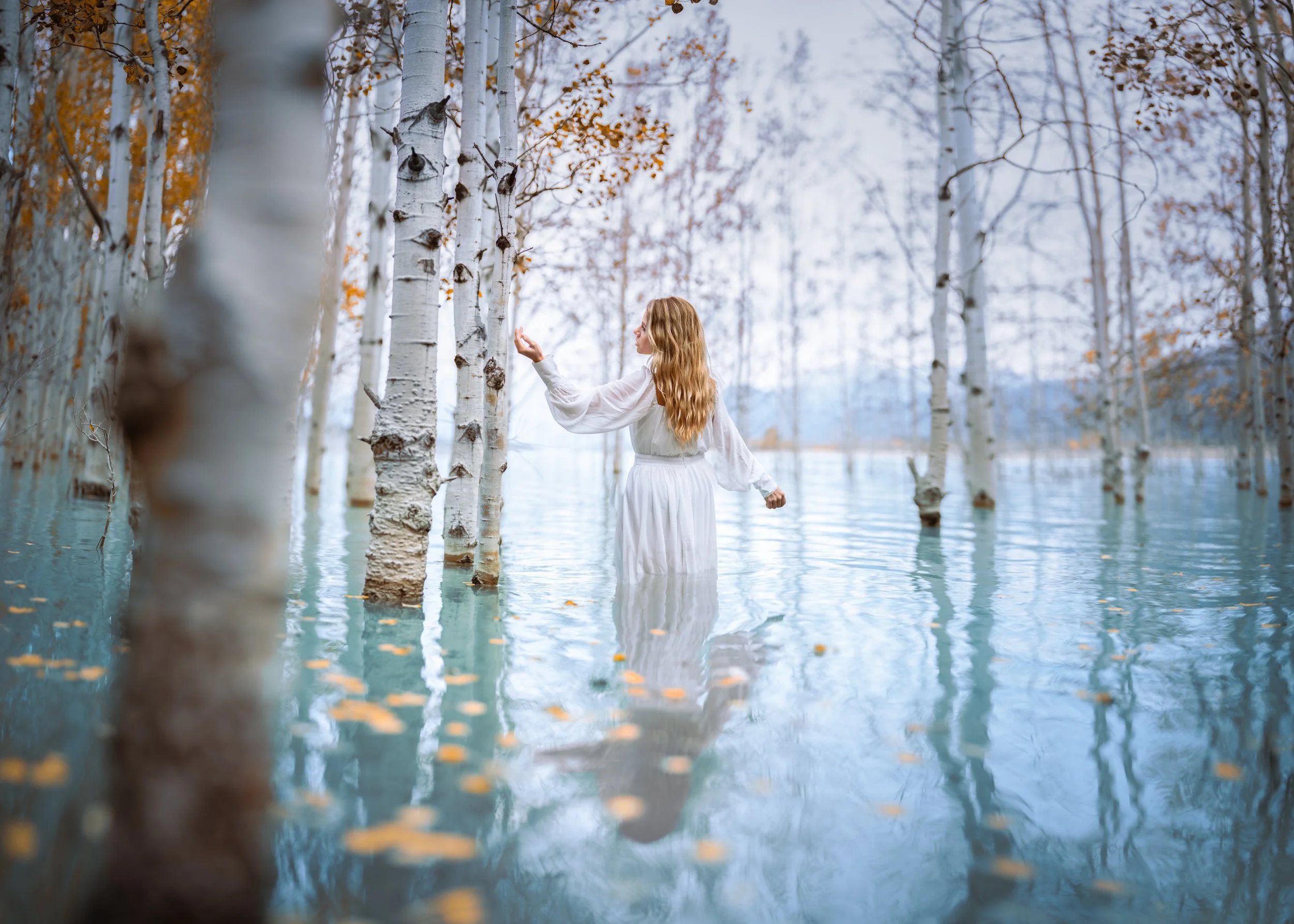 A woman with long red hair in a white dress stands in a flooded forest with white birch trees, reaching out to touch the tree trunks. The water is calm and reflective, and autumn leaves are floating on the surface. The background shows a distant hill