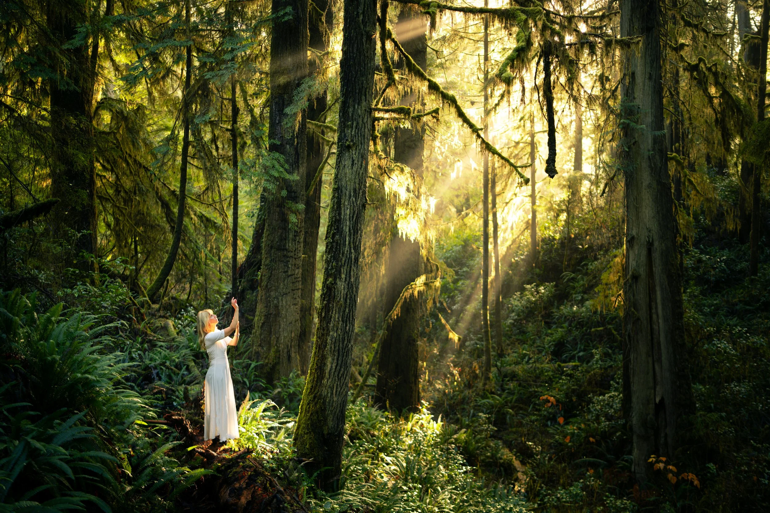 A woman in a long white dress standing in a lush forest with tall trees and green foliage, sunlight streaming through the trees, creating a peaceful and magical scene.