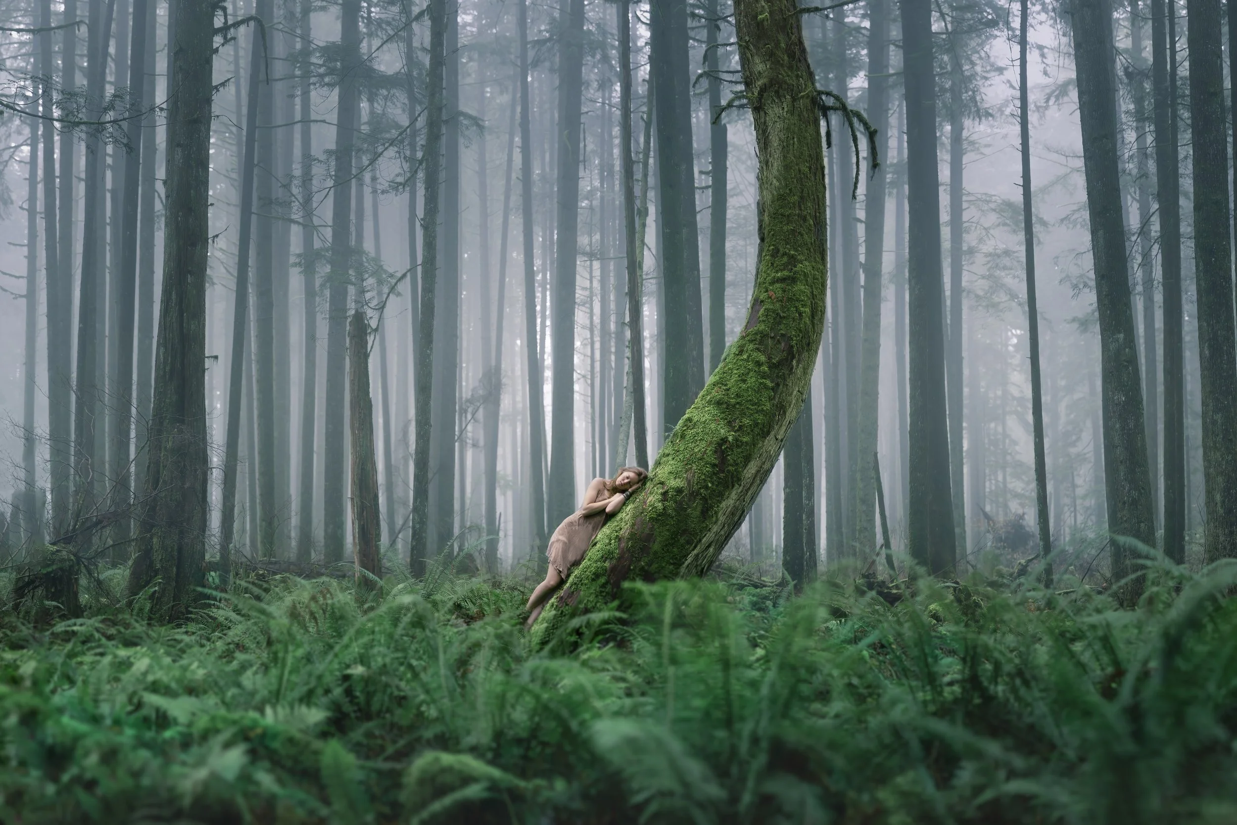 A woman in a beige dress resting on a moss-covered tree that leans at an angle in a foggy forest with tall, thin trees and green ferns covering the ground.