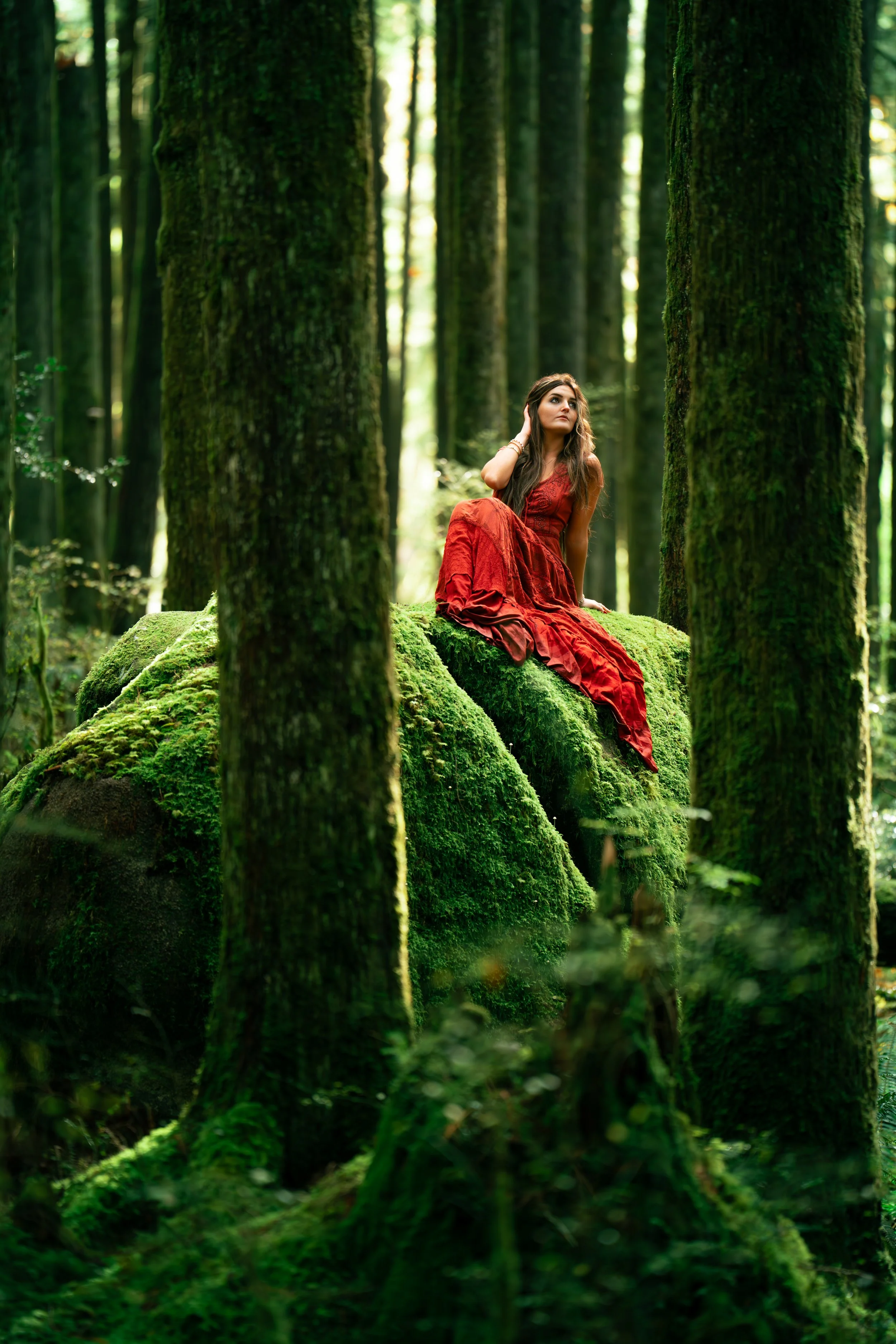 A woman in a long red dress sitting on a moss-covered rock in a dense forest with tall trees and sunlight filtering through the leaves.