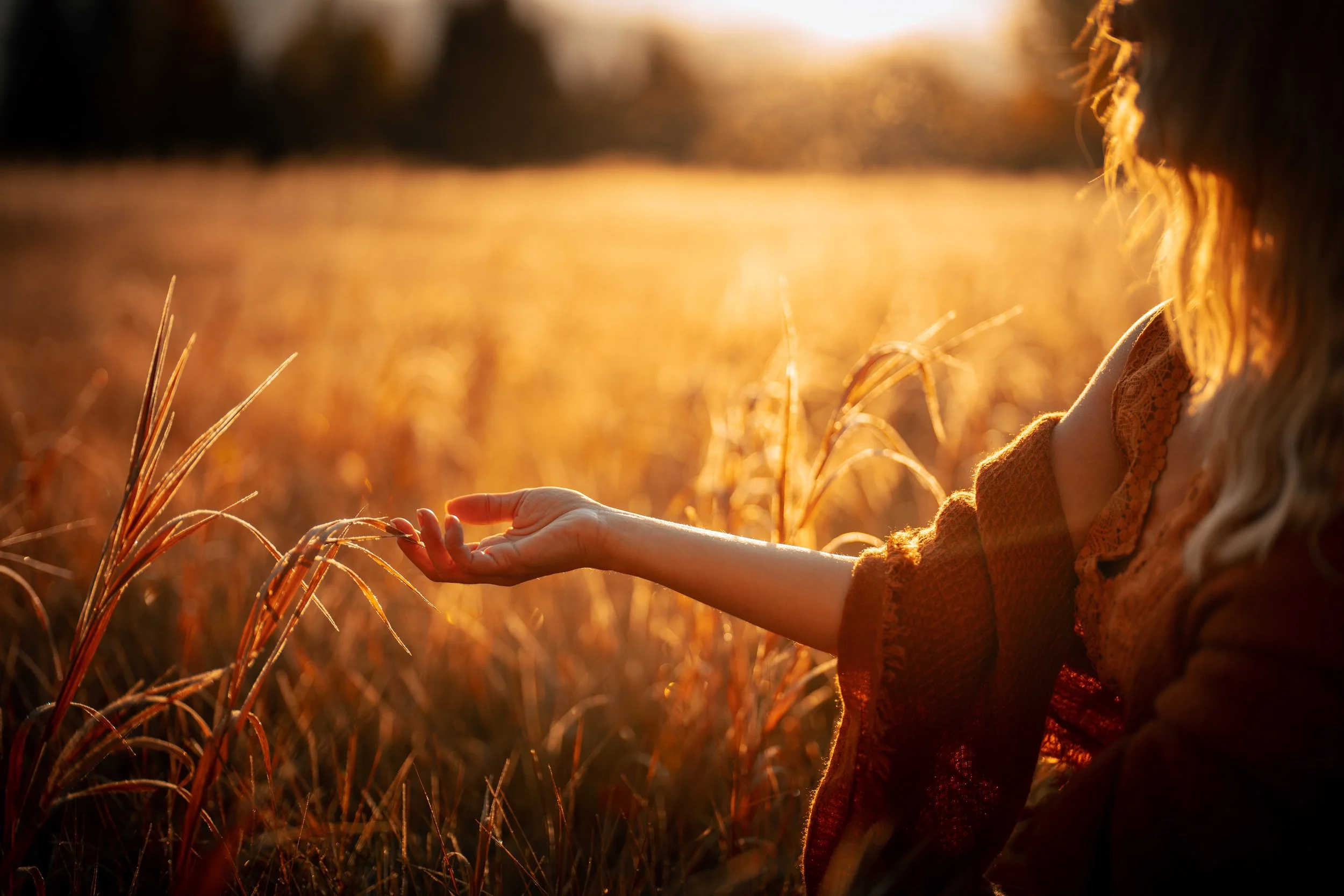 A woman with long hair in a field of tall grass during sunset, reaching out to touch the grass.