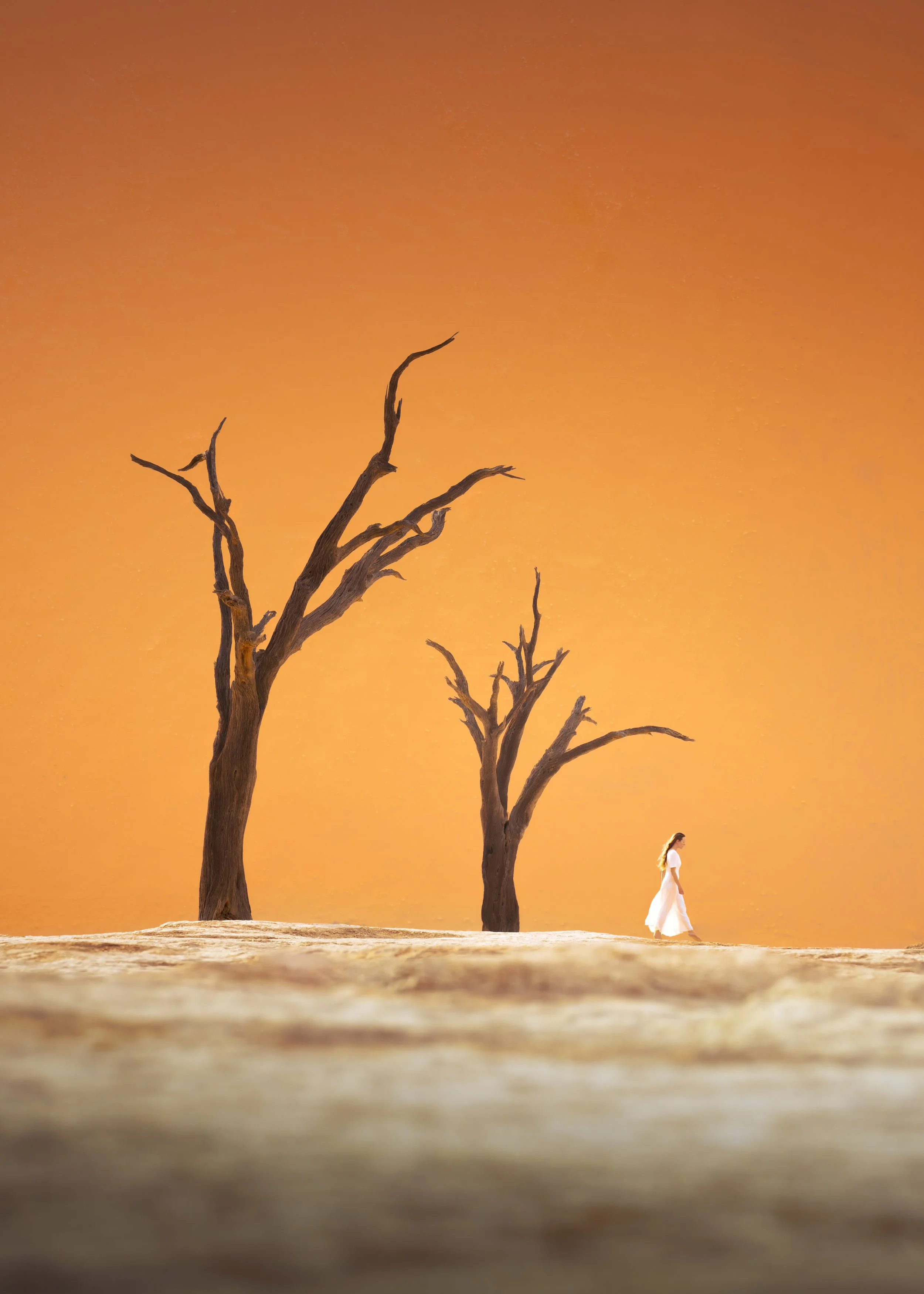 A woman in a white dress walking past two leafless trees on a dry, cracked ground with a warm orange sky in the background.
