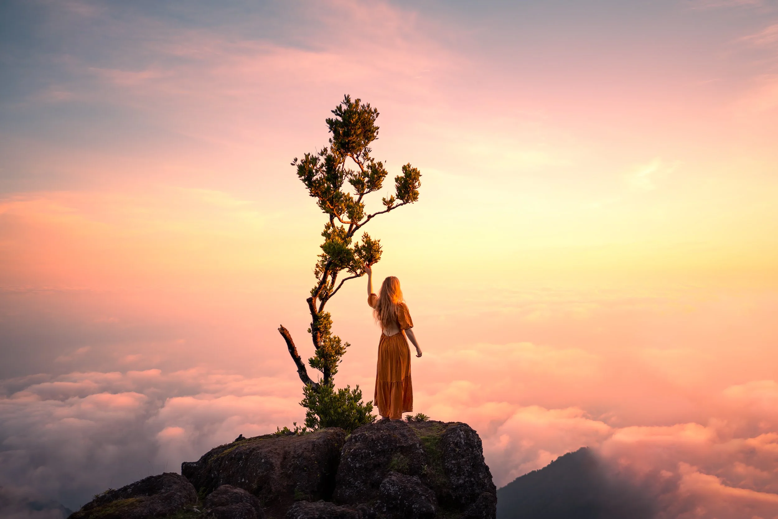 A woman with long blonde hair standing on a rocky outcrop, reaching out to touch a small, twisted tree, overlooking a sea of clouds during sunset.