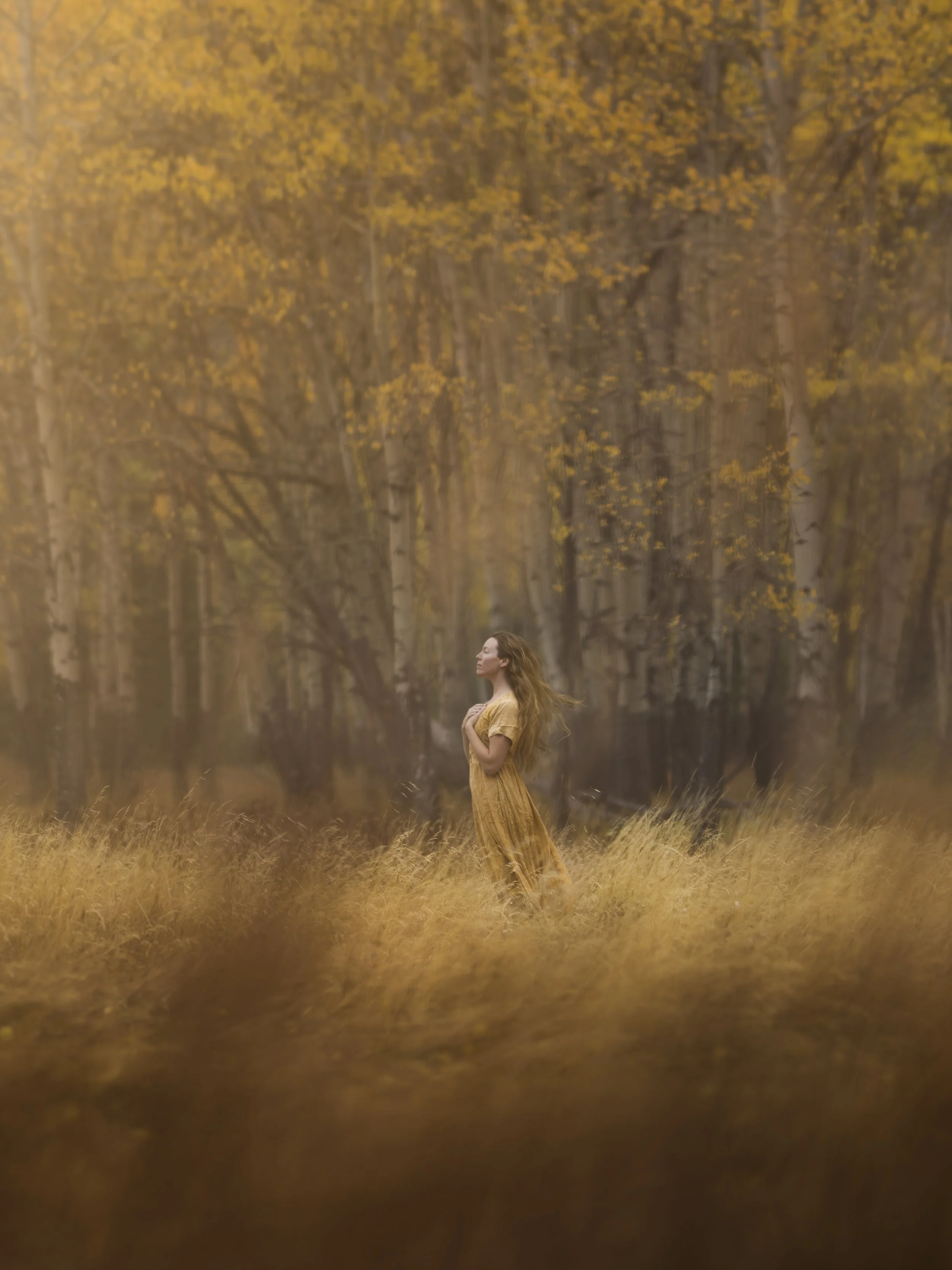 A woman with long hair in a yellow dress standing in a golden autumn forest with tall trees and grass.