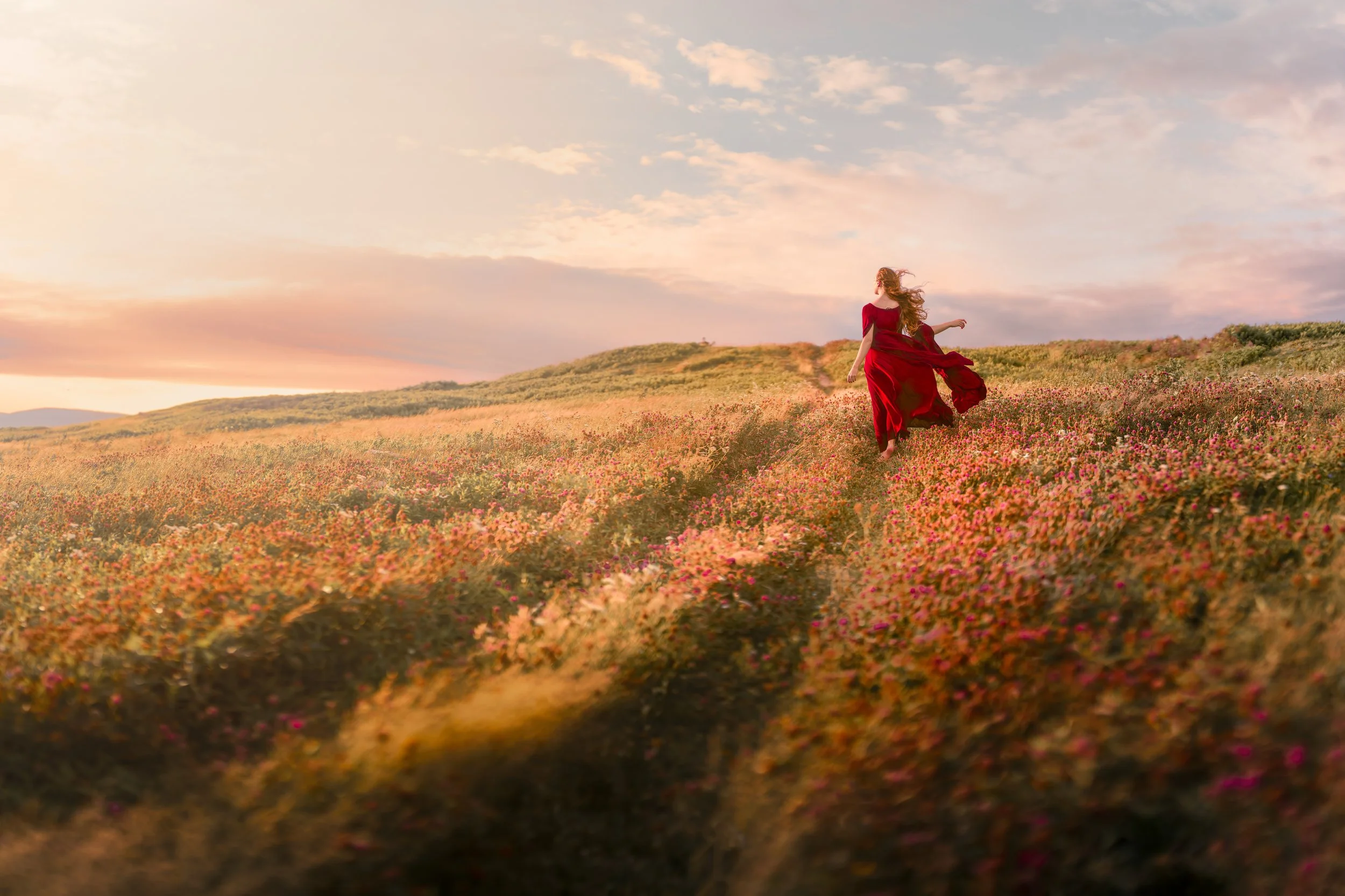 A woman wearing a red dress walking through a field of pink flowers during sunset.