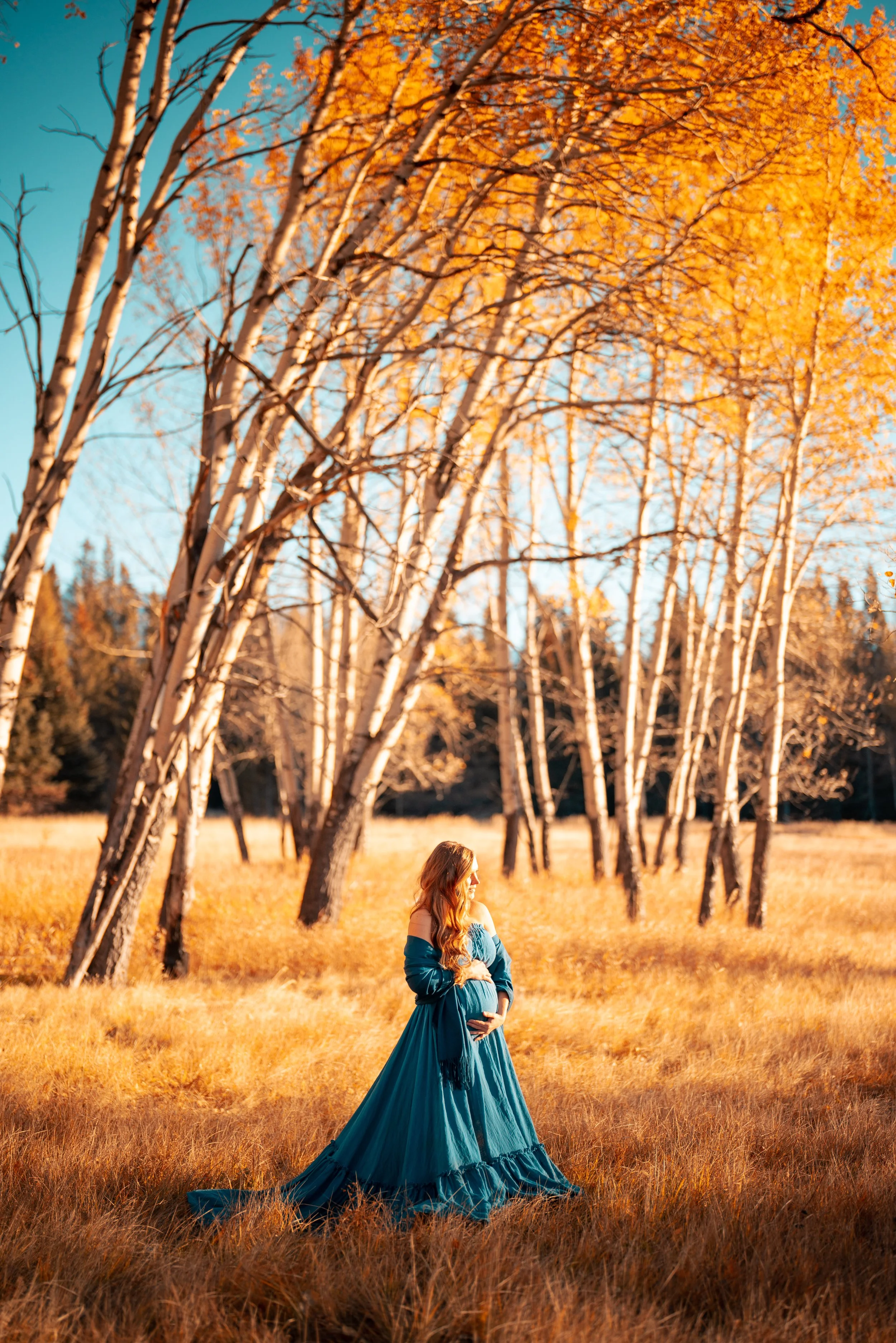 A pregnant woman in a blue dress stands in a field of tall grass during autumn, surrounded by leafless trees with orange foliage, under a clear blue sky.