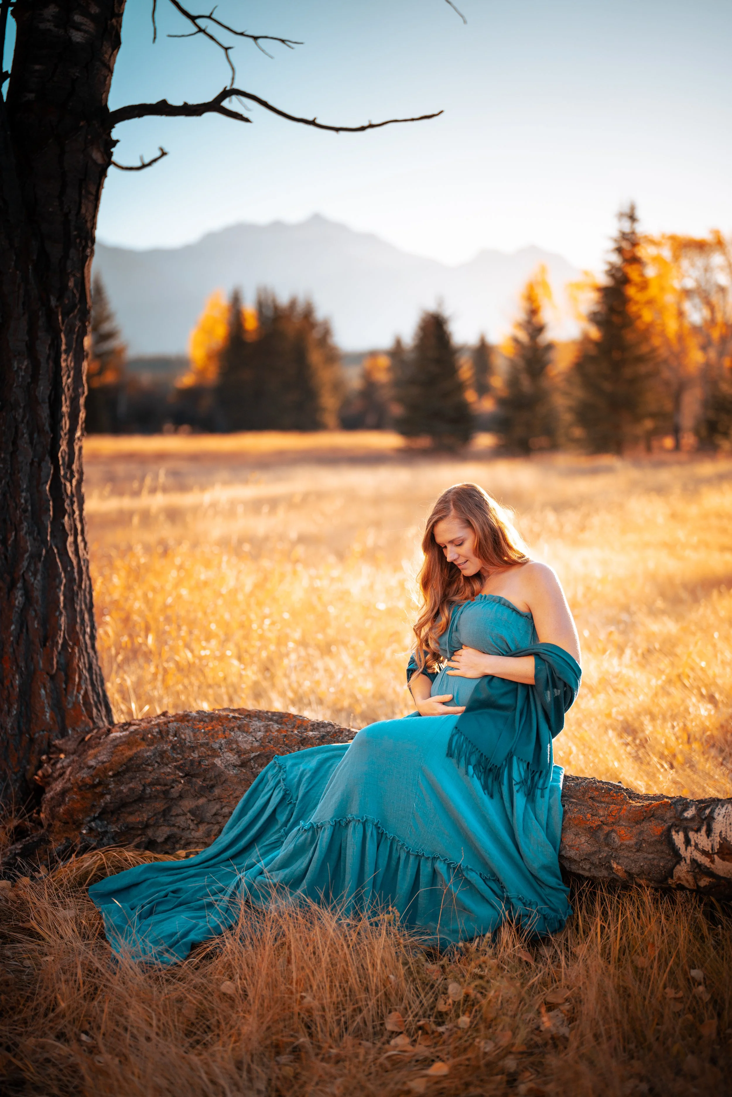 A woman in a flowing blue dress sitting beneath a large tree in a field during sunset, gently holding her pregnant belly, with mountains and trees in the background.