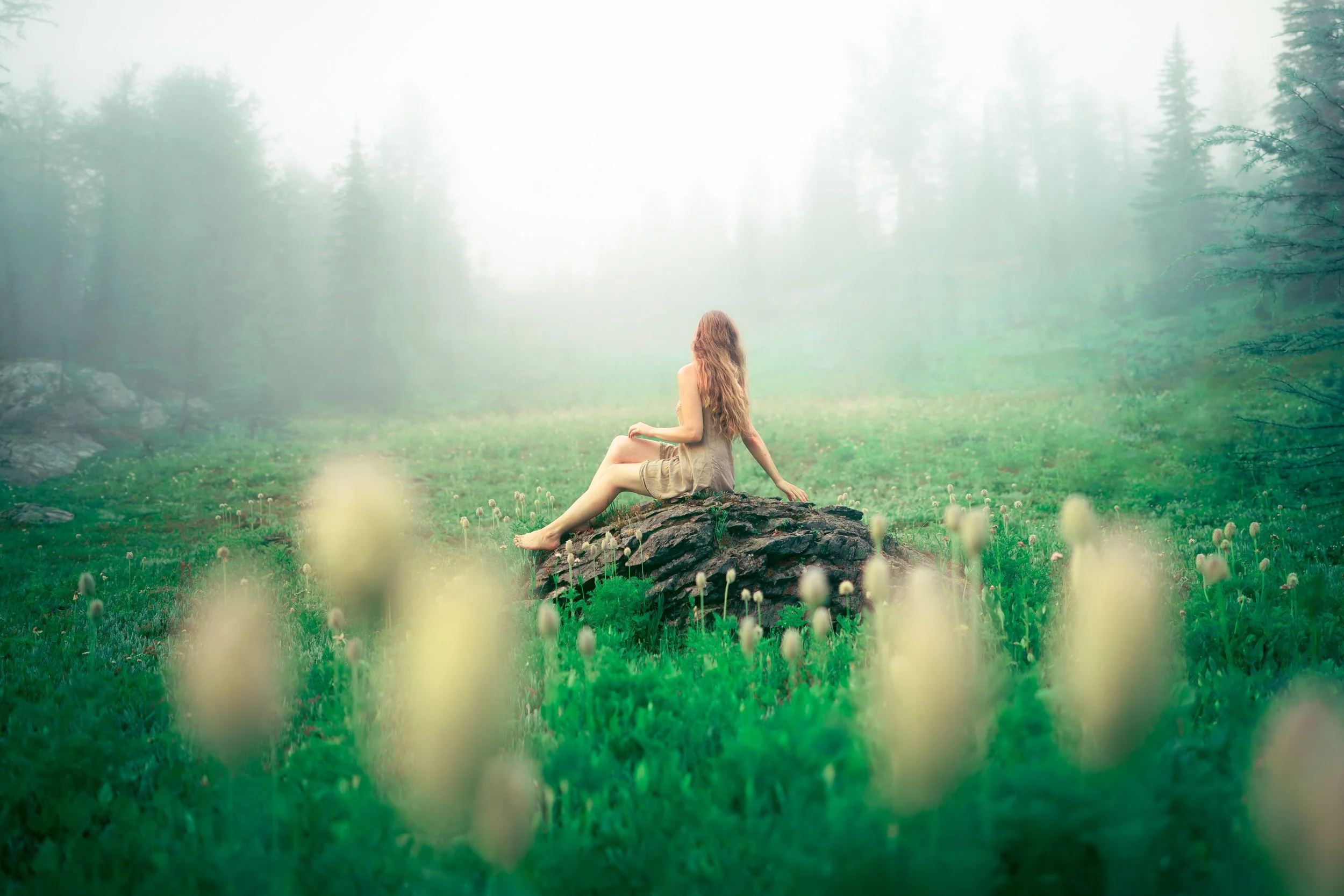 A woman with long hair sitting on a rock in a lush green field with tall grass and wildflowers, surrounded by fog and distant trees.