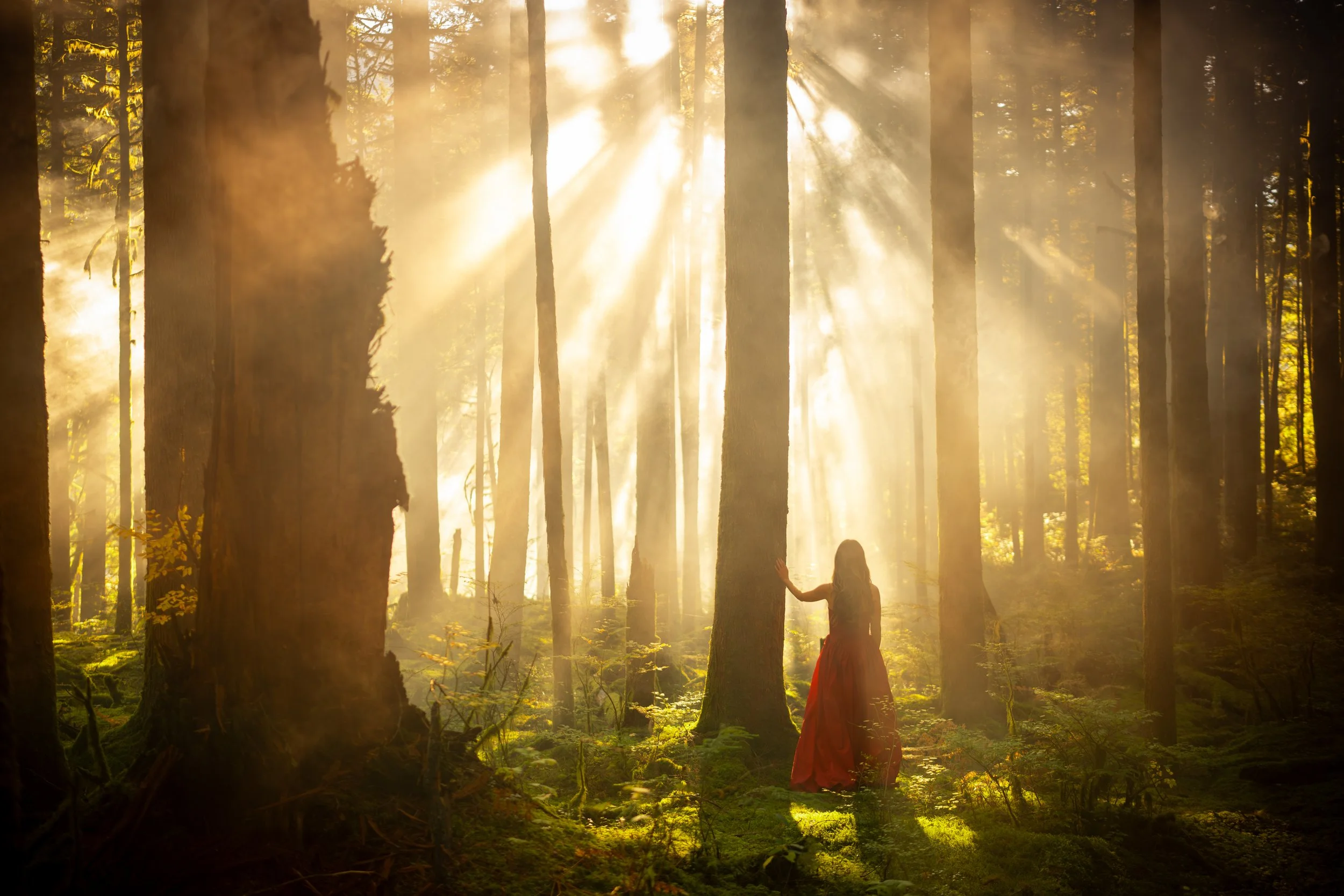 A woman in a long red dress walking through a sunlit forest with tall trees and rays of sunlight filtering through the canopy.