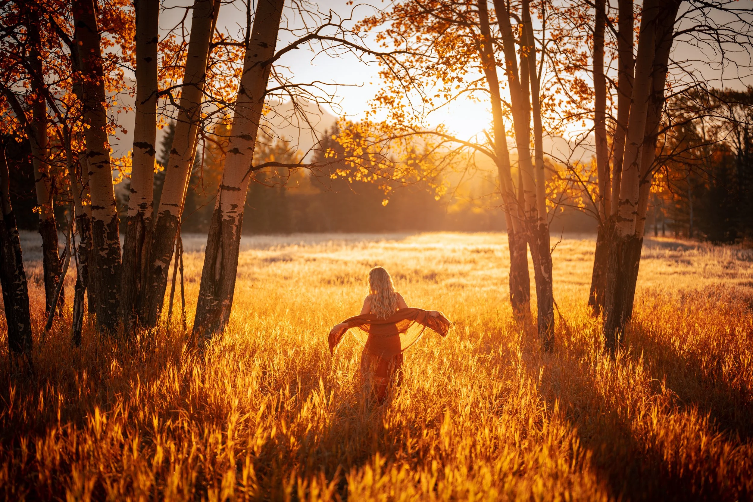A woman with long hair standing in a field of tall grass during sunset, surrounded by trees with autumn leaves.