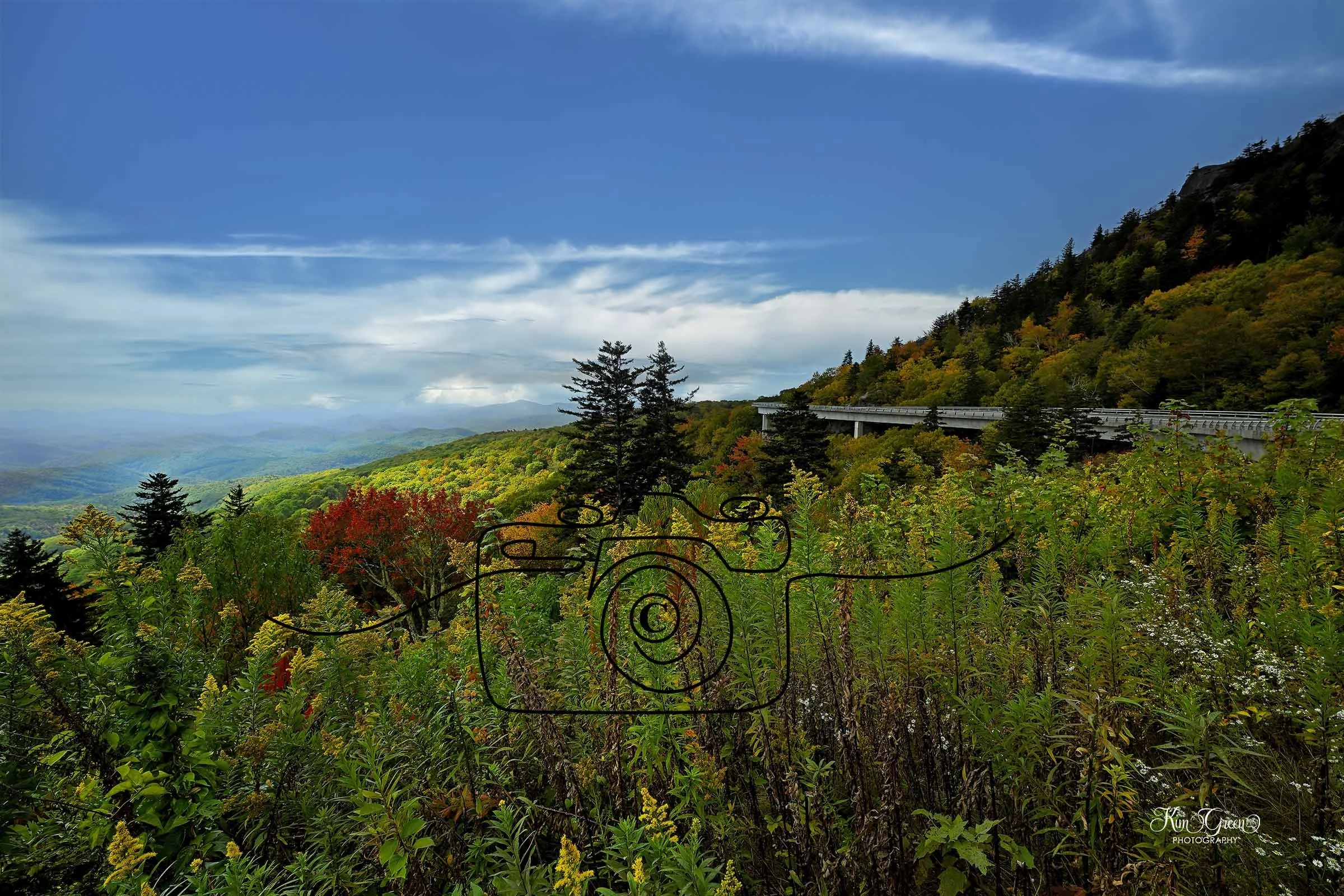 ©Kim Green Photography