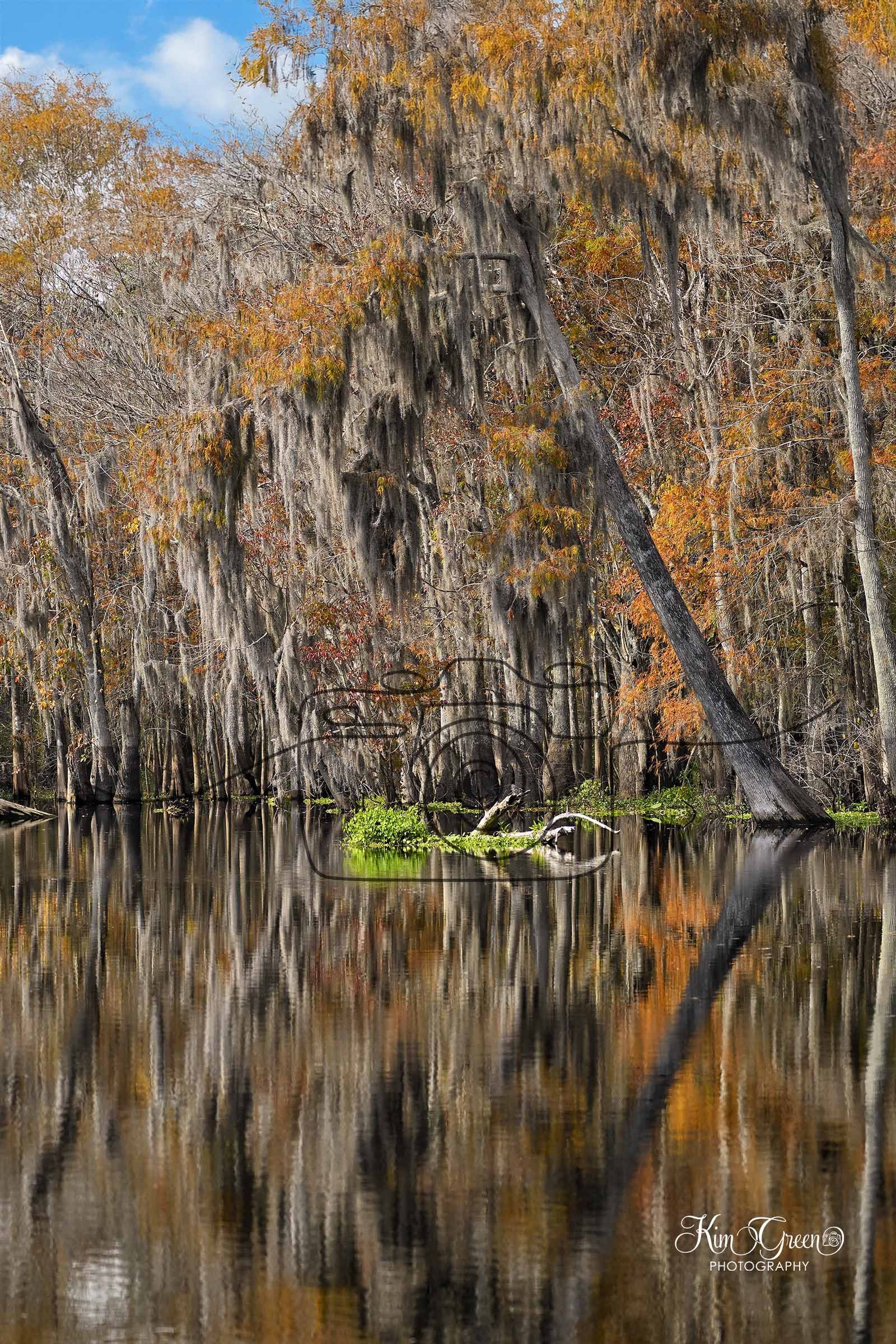 River ©️Kim Green Photography
